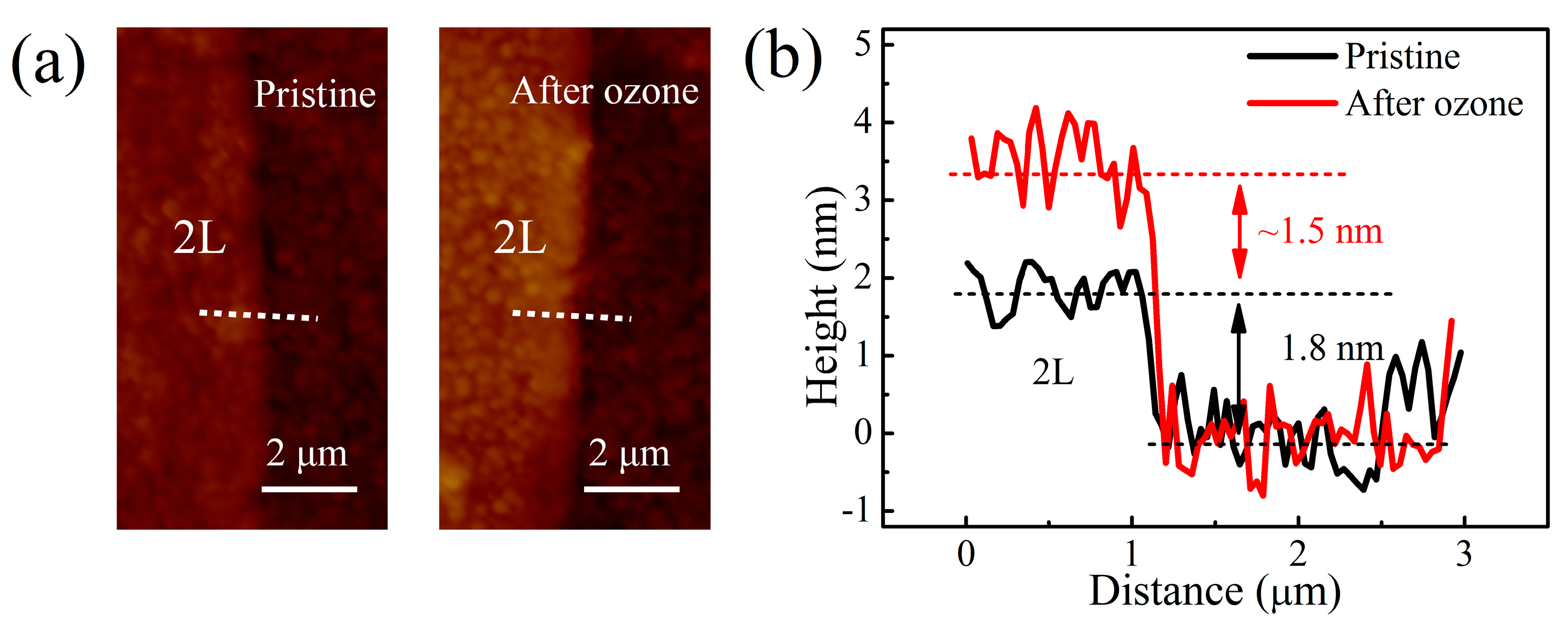 Nanomaterials 09 00756 g004