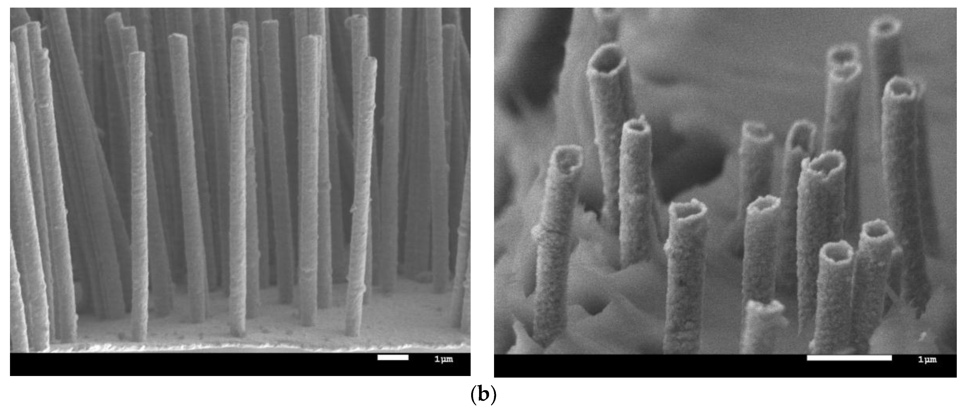 Nanomaterials 09 00757 g001b