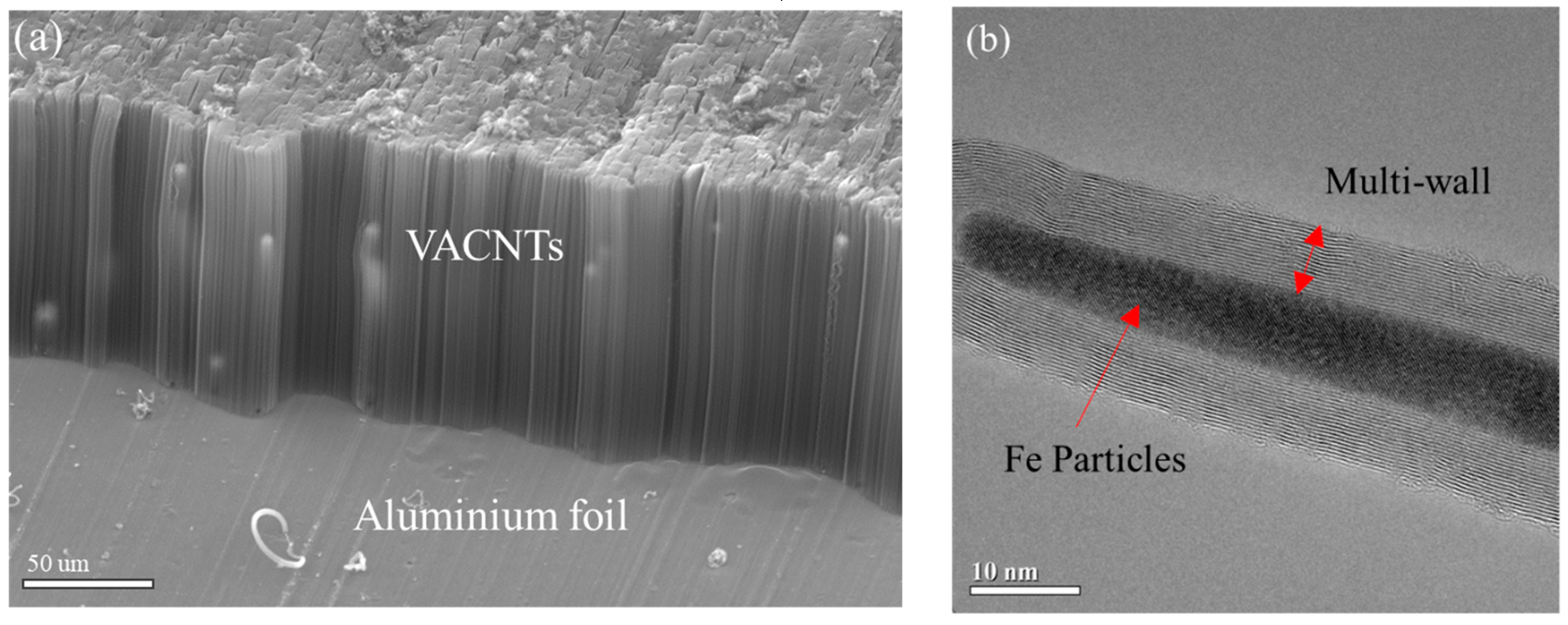 Nanomaterials 09 00758 g002