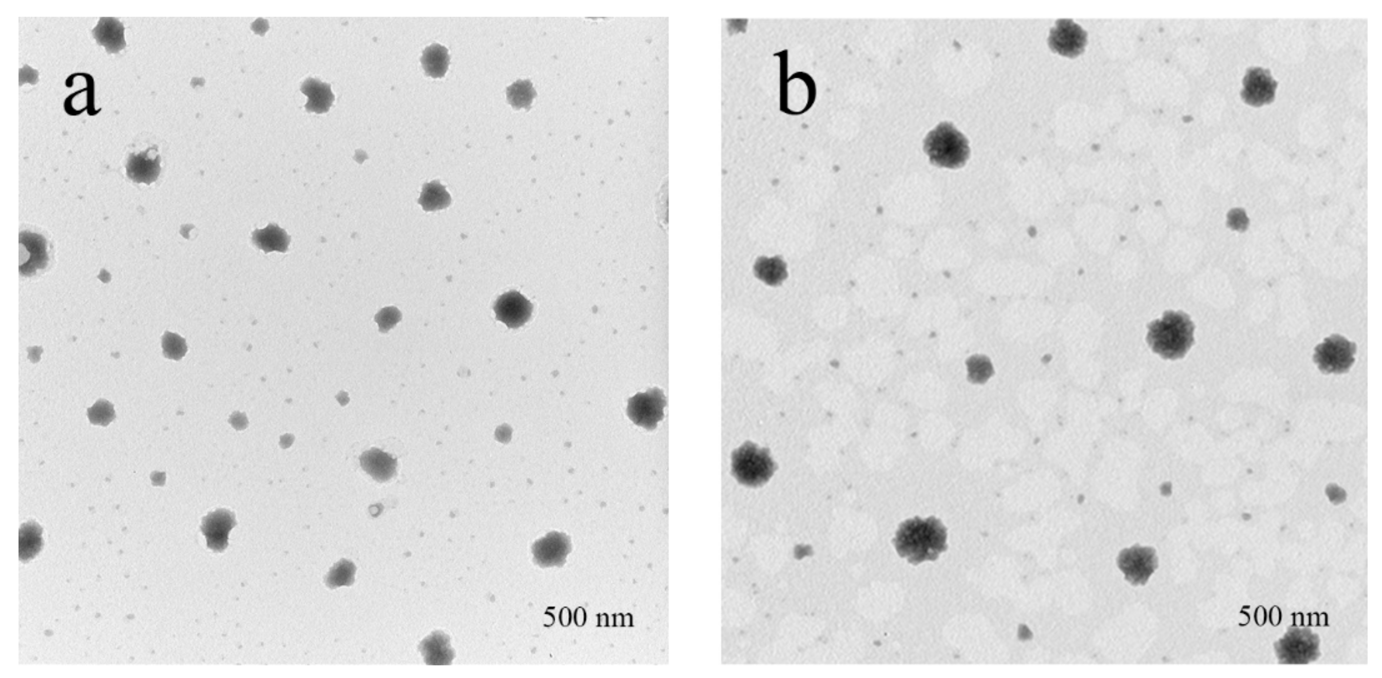 Nanomaterials 09 00763 g003