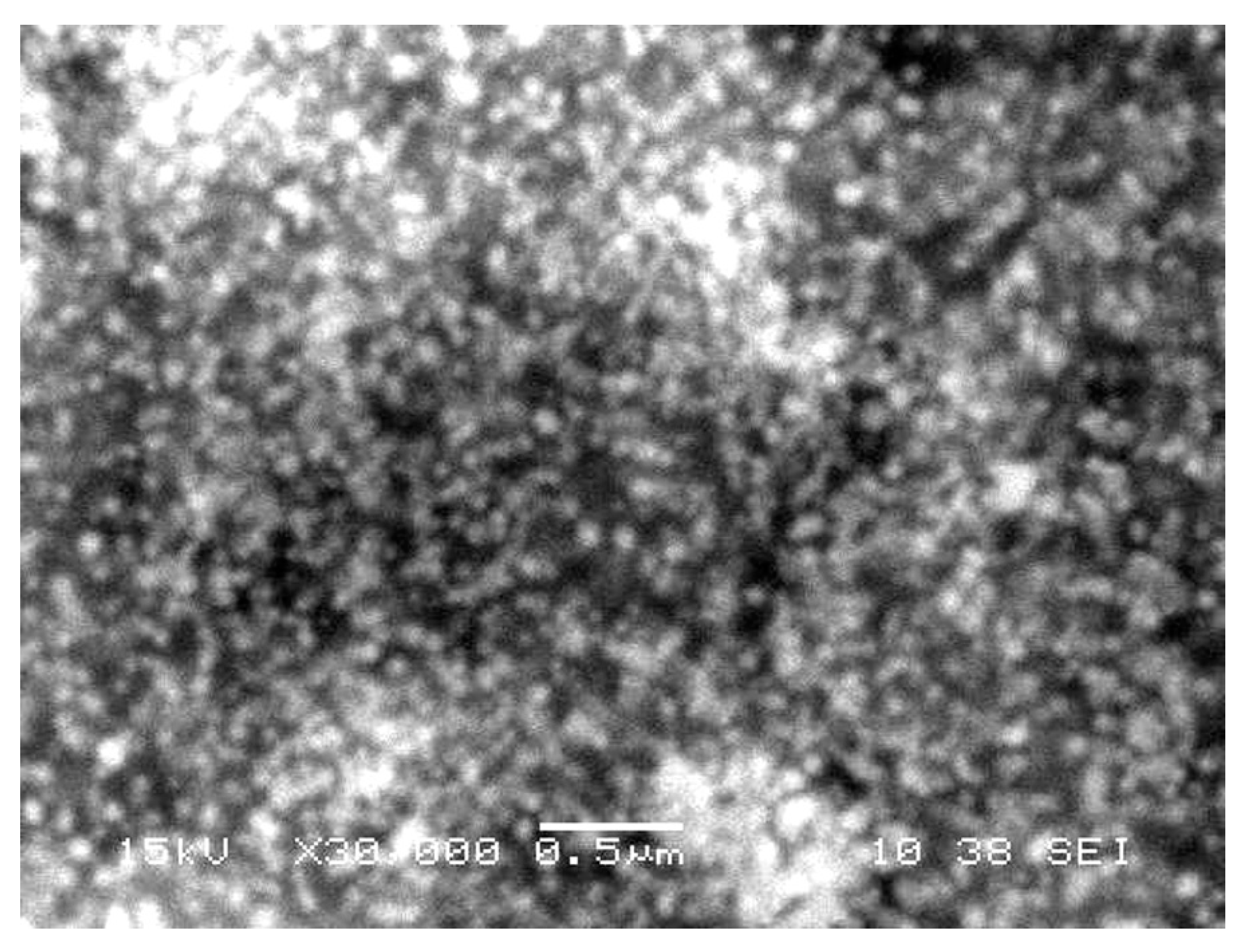 Nanomaterials 09 00765 g003