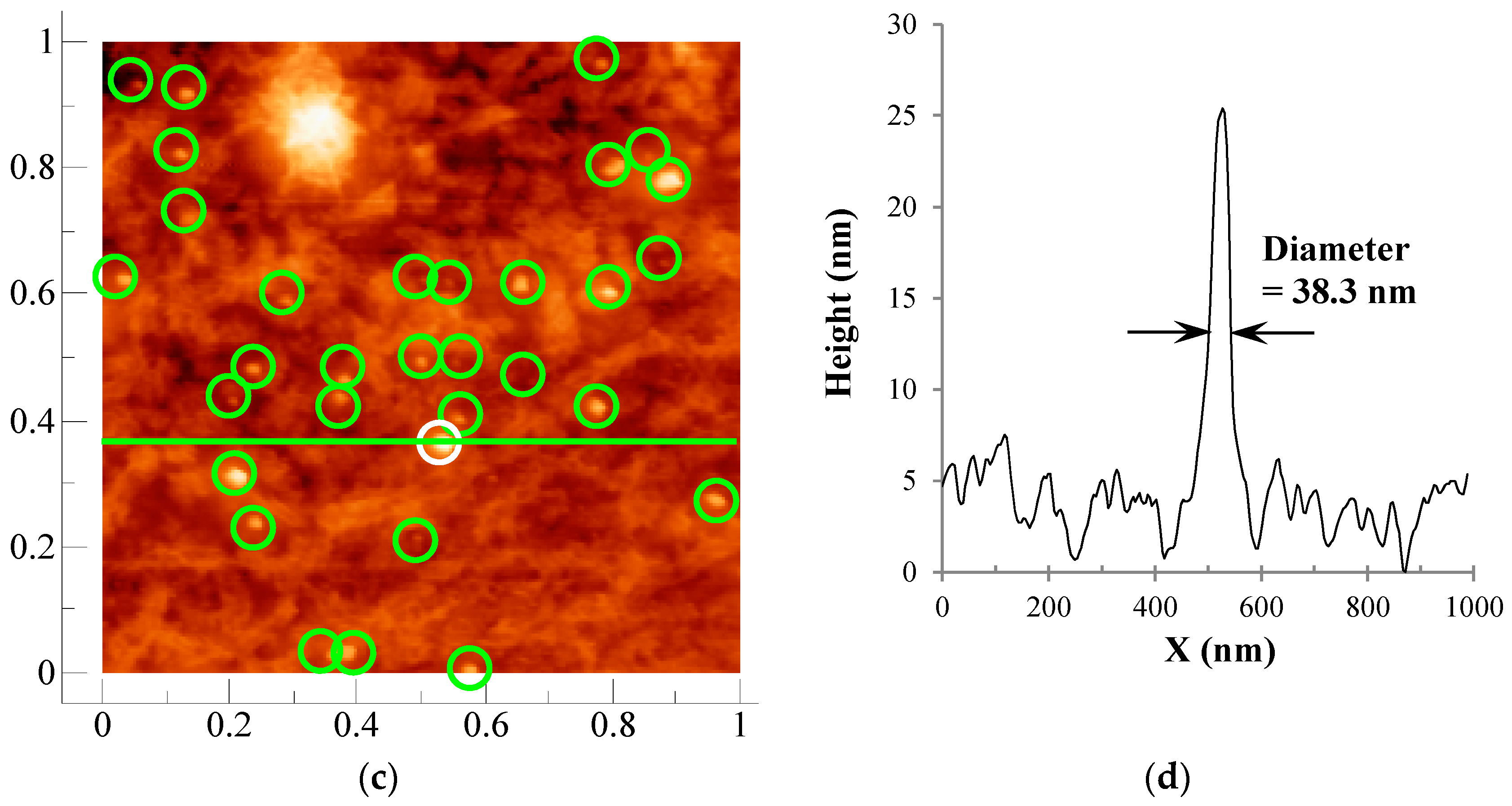 Nanomaterials 09 00780 g002b
