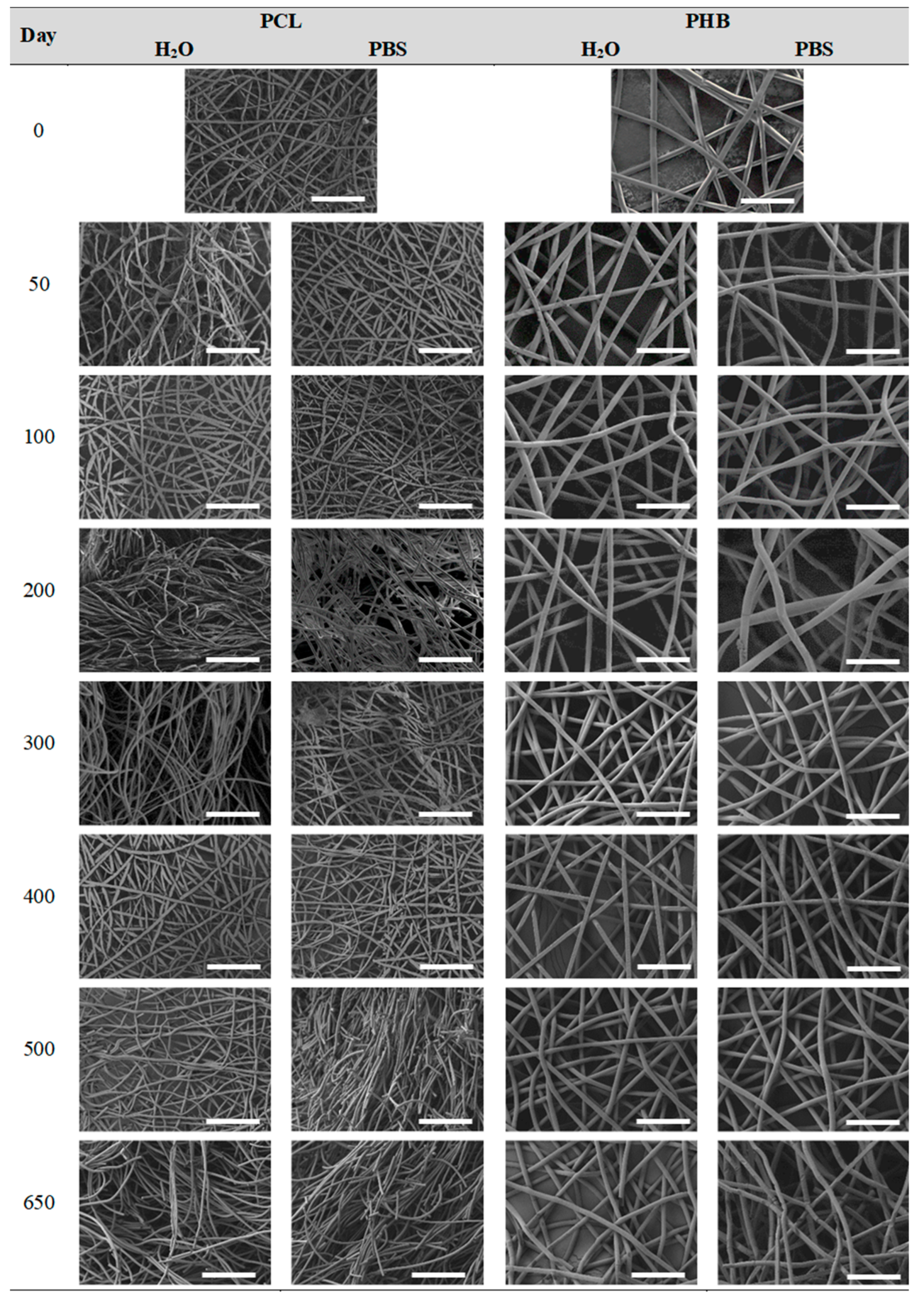 Nanomaterials 09 00786 g008