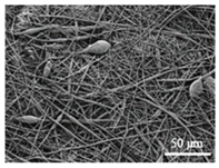 Nanomaterials 09 00786 i002