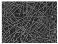 Nanomaterials 09 00786 i005