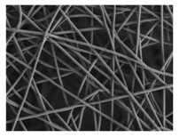Nanomaterials 09 00786 i008