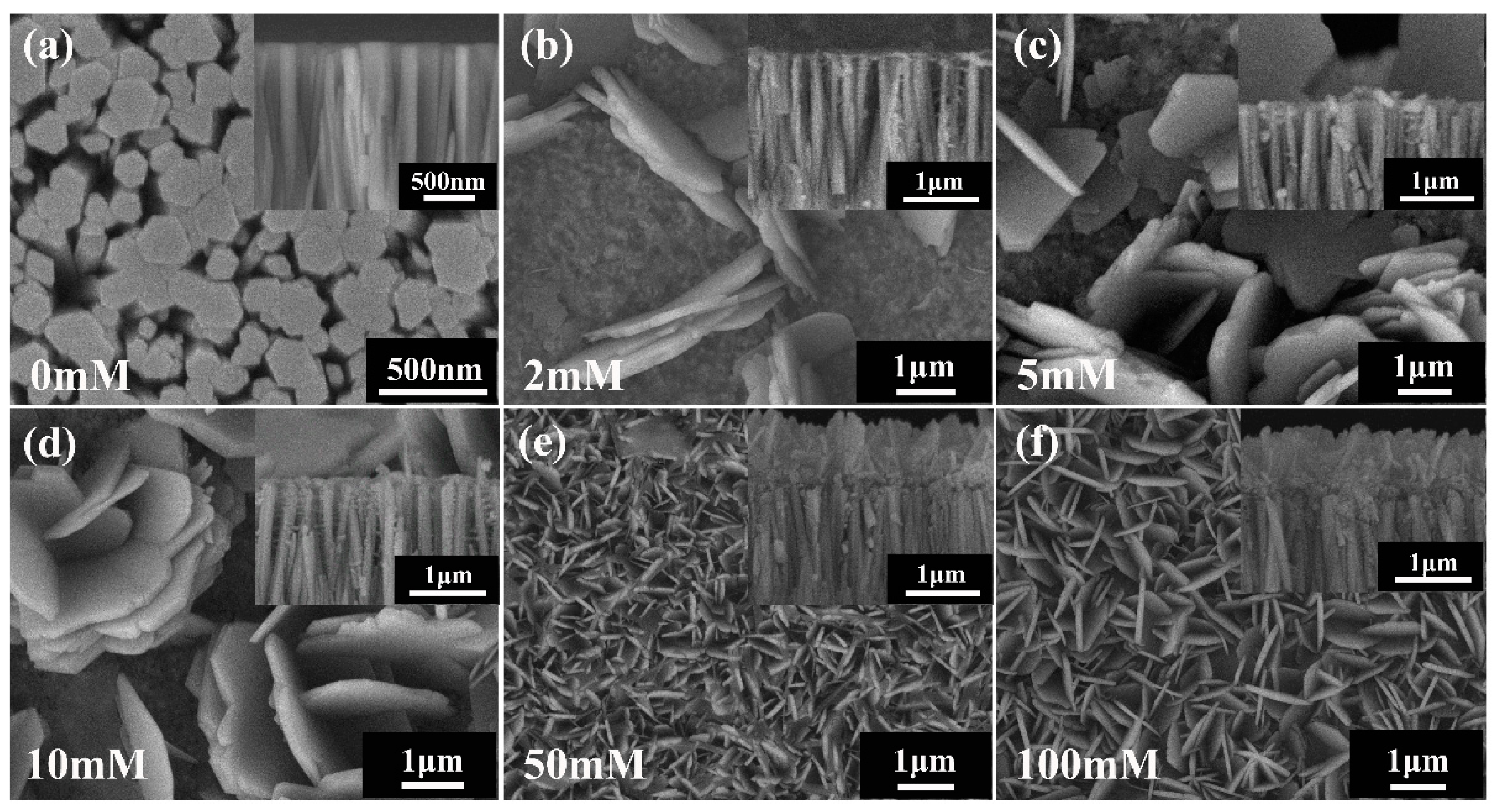 Nanomaterials 09 00790 g001