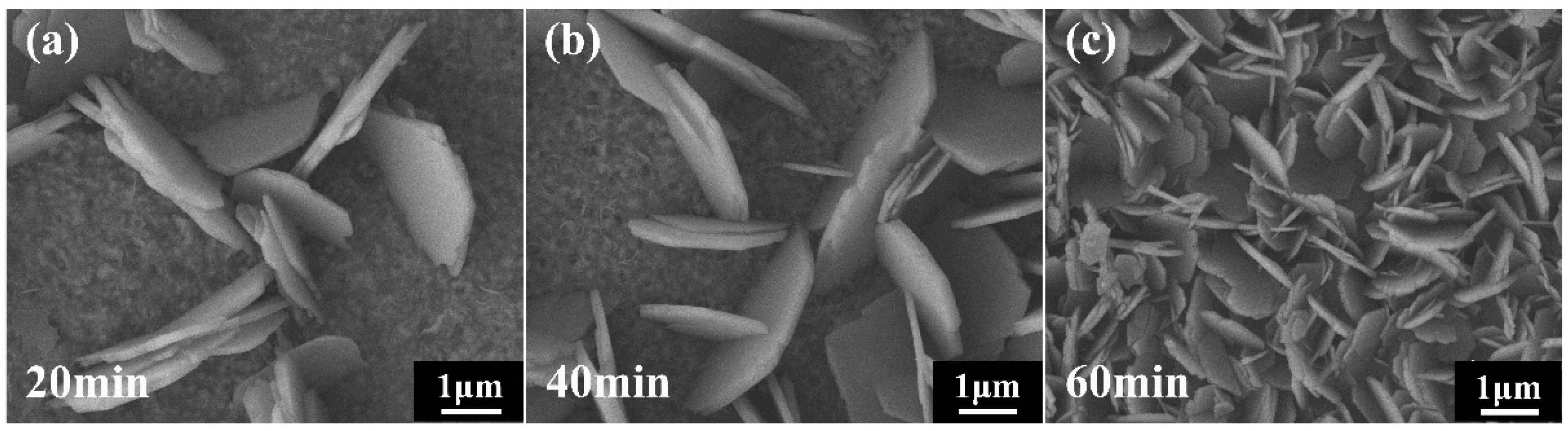 Nanomaterials 09 00790 g002