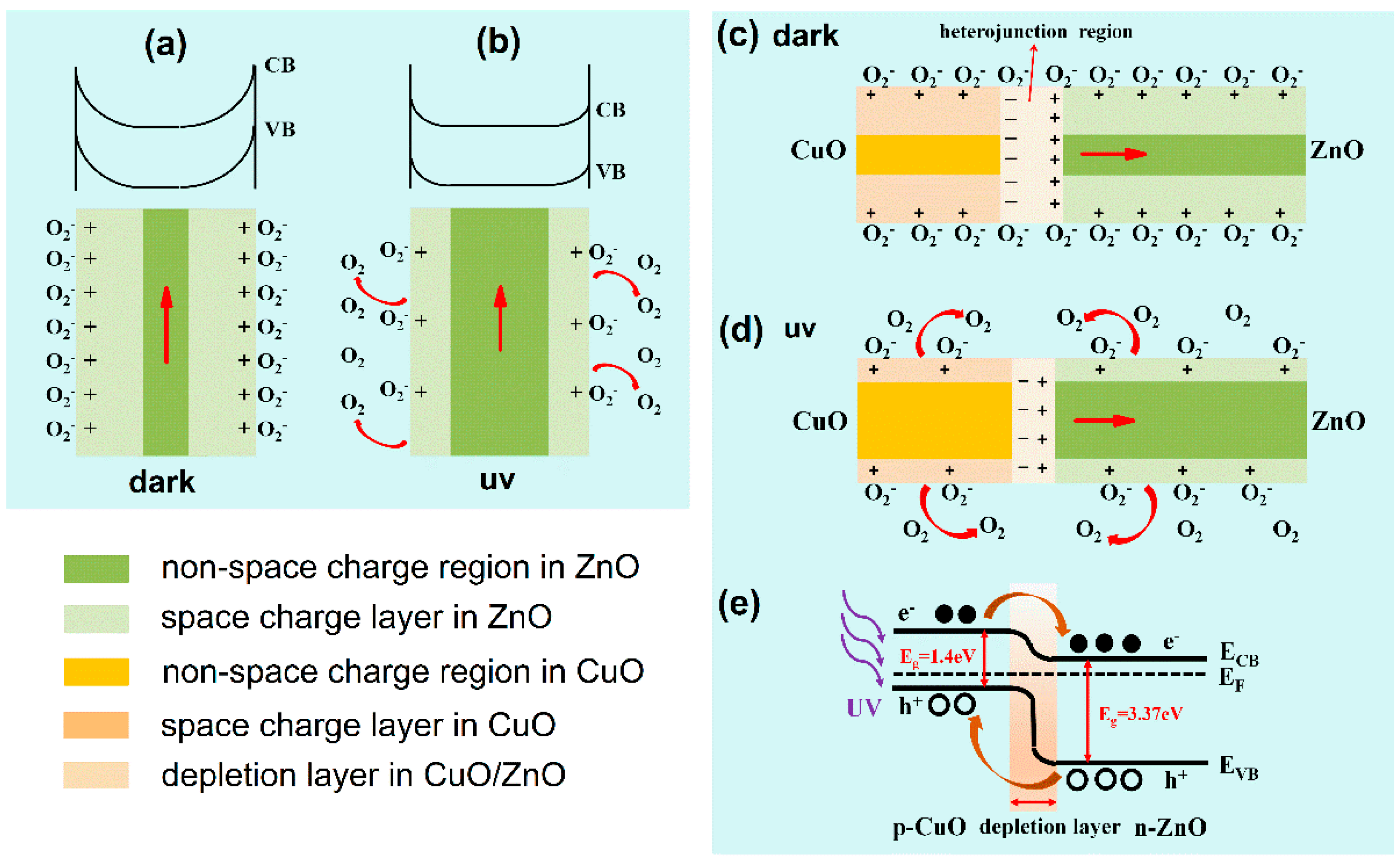 Nanomaterials 09 00790 g008