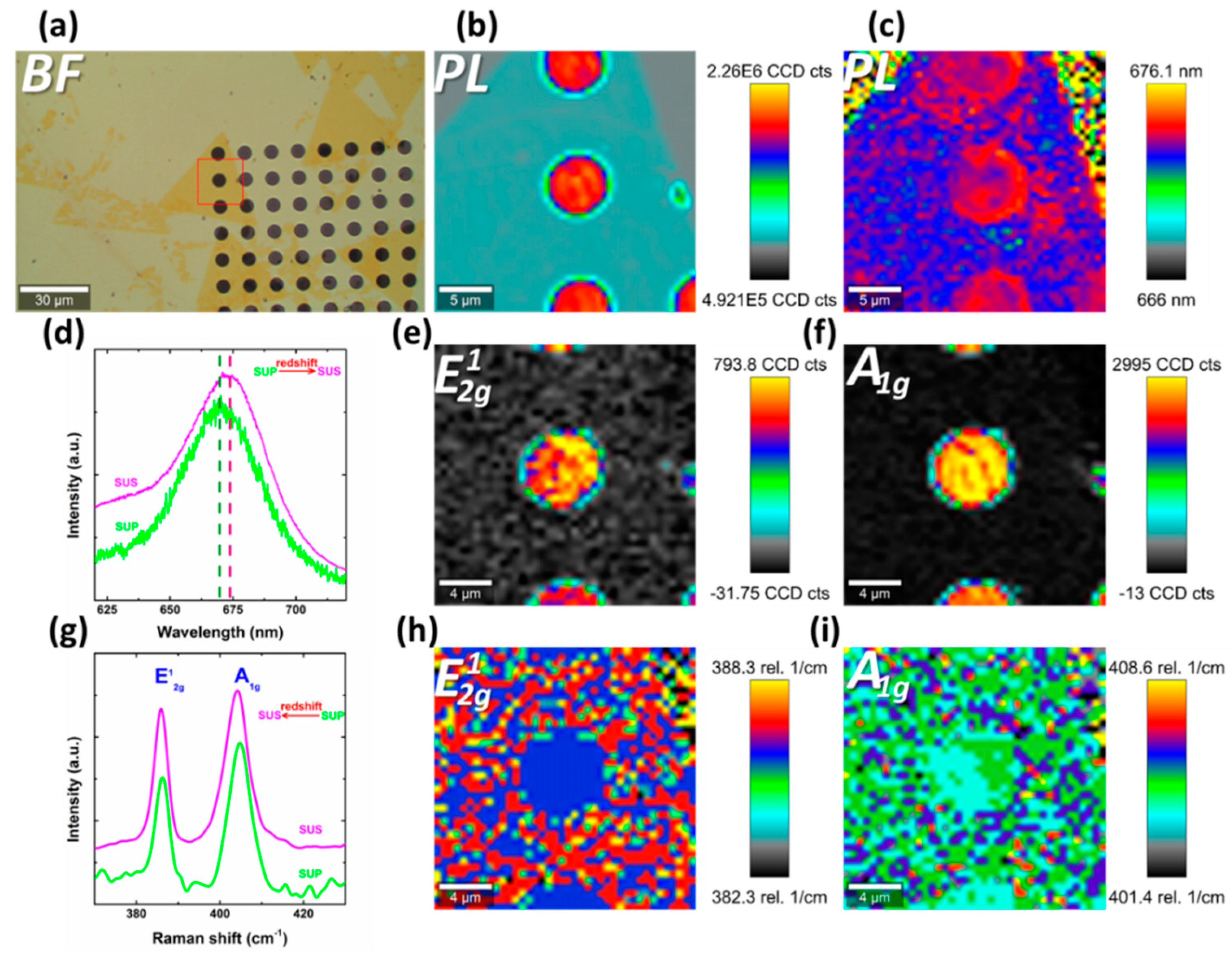 Nanomaterials 09 00796 g004
