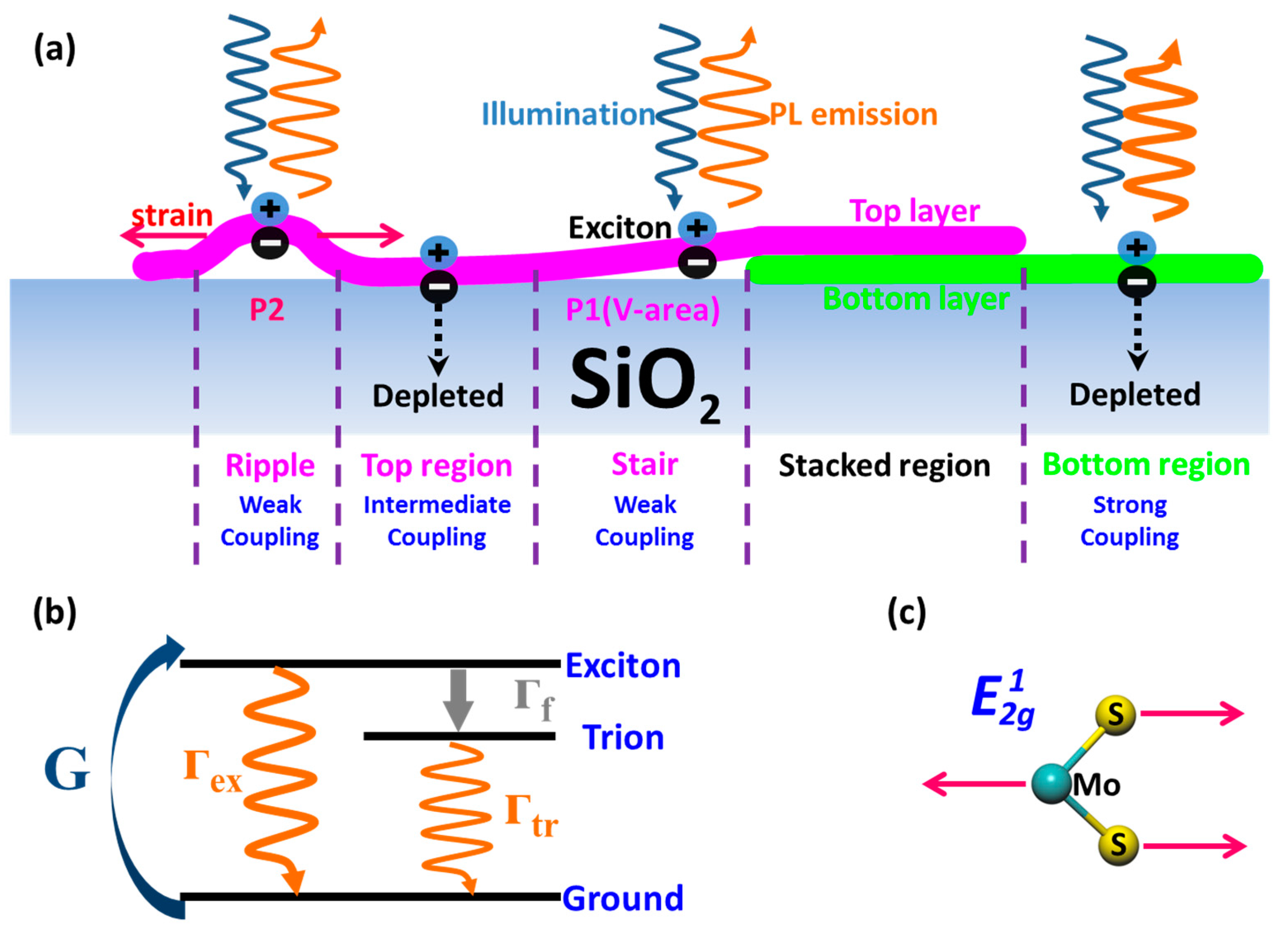 Nanomaterials 09 00796 g005