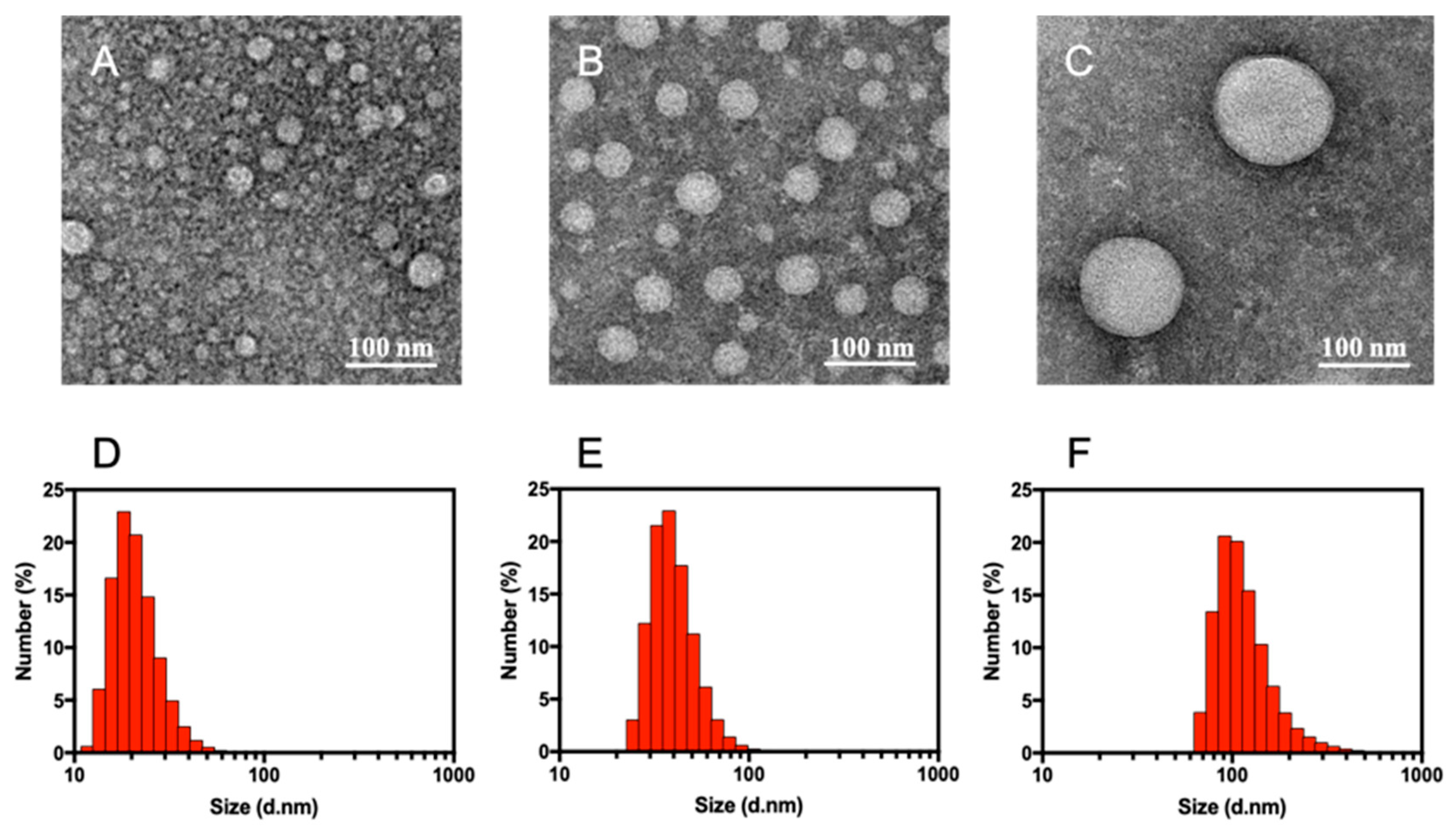 Nanomaterials 09 00797 g001