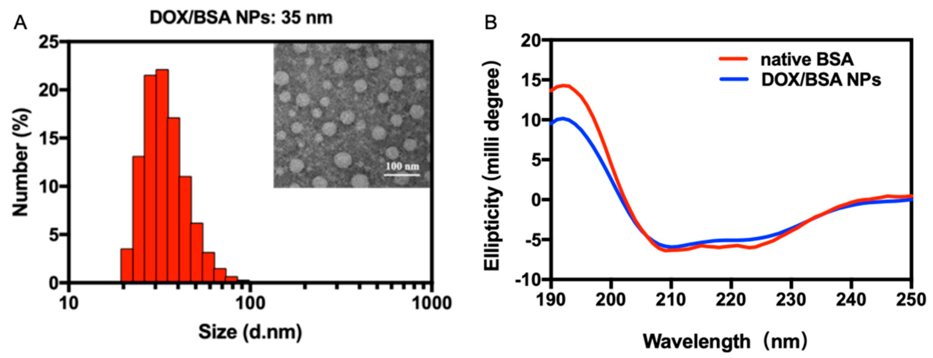 Nanomaterials 09 00797 g003