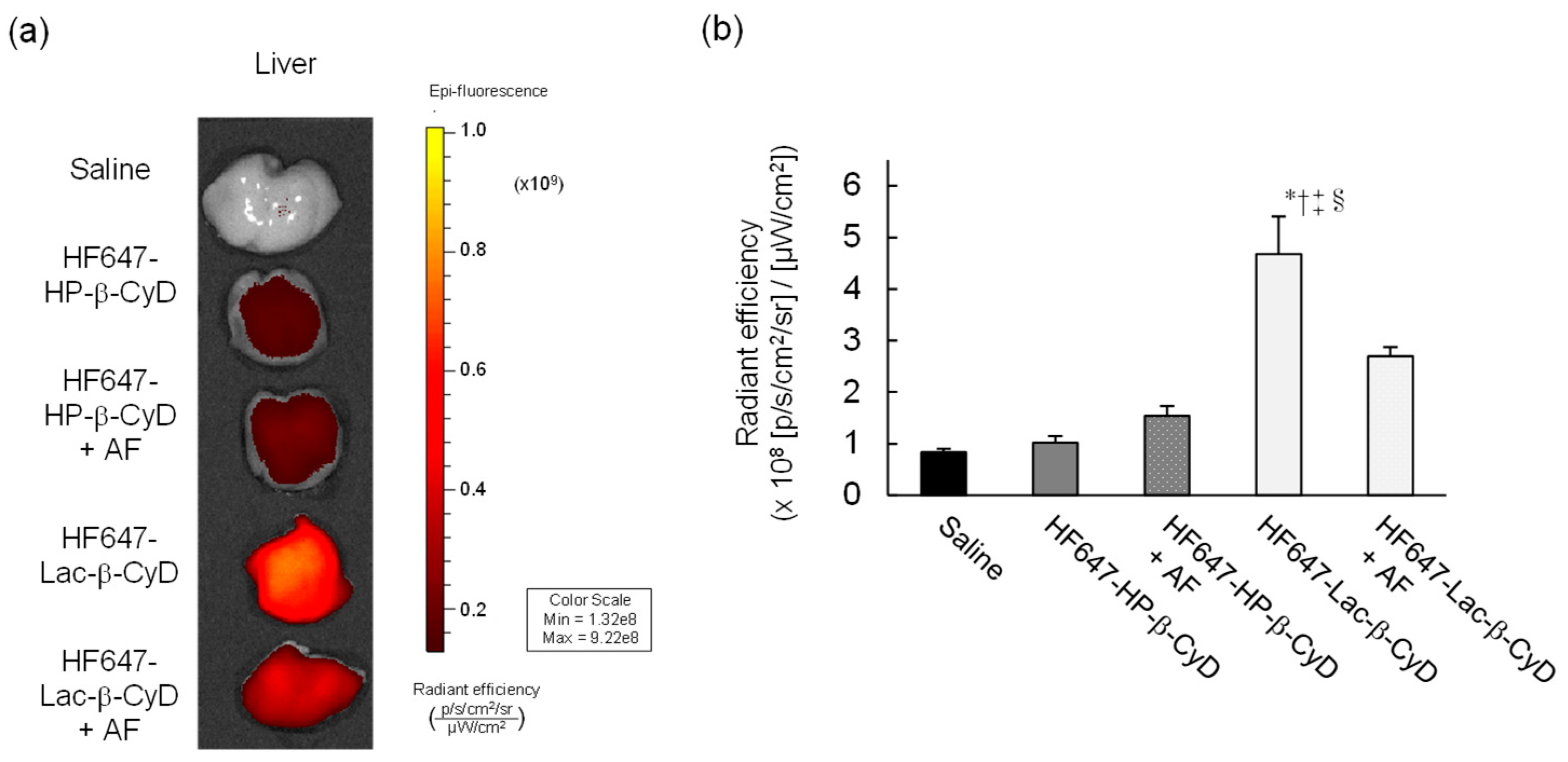 Nanomaterials 09 00802 g001