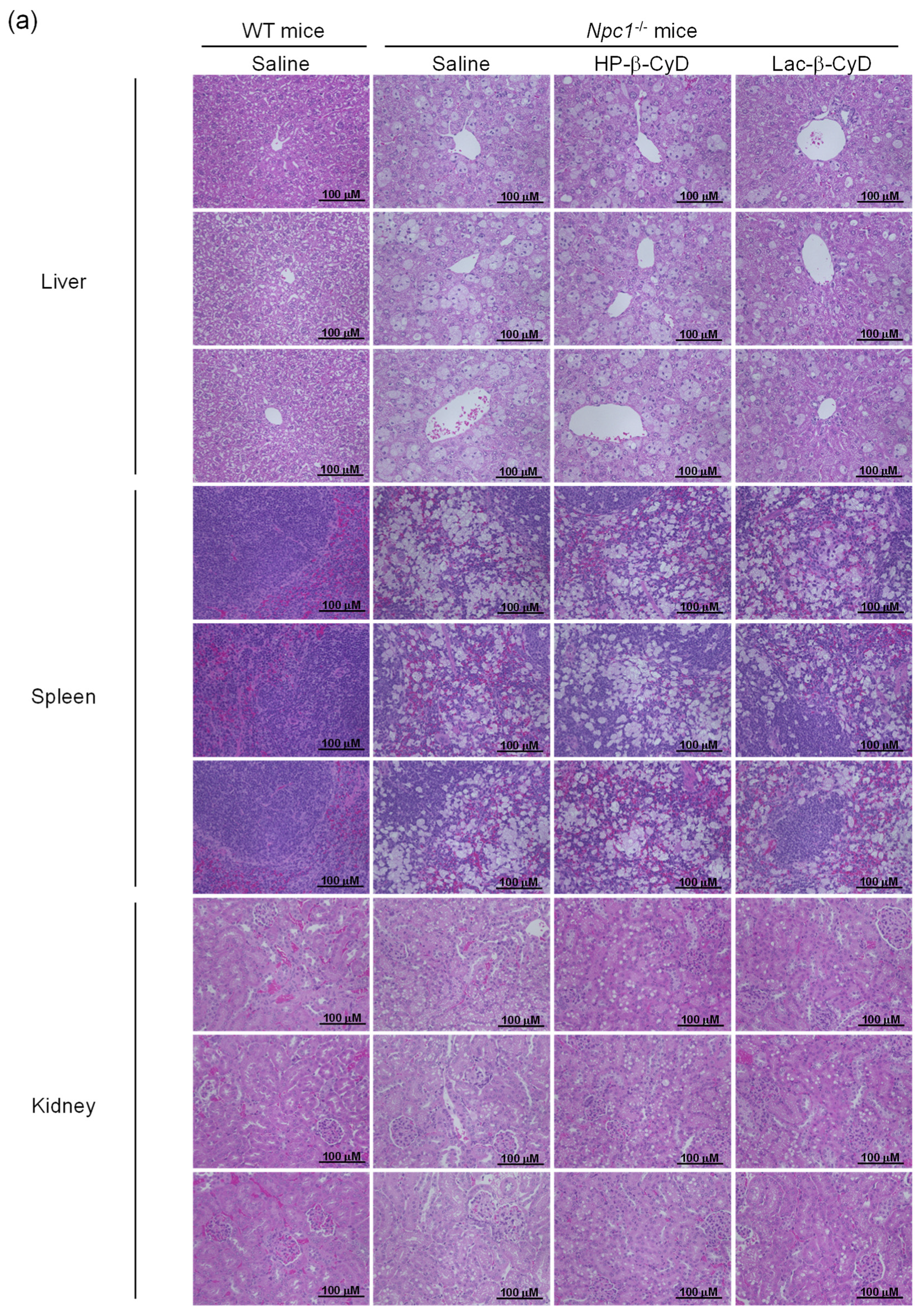 Nanomaterials 09 00802 g002a