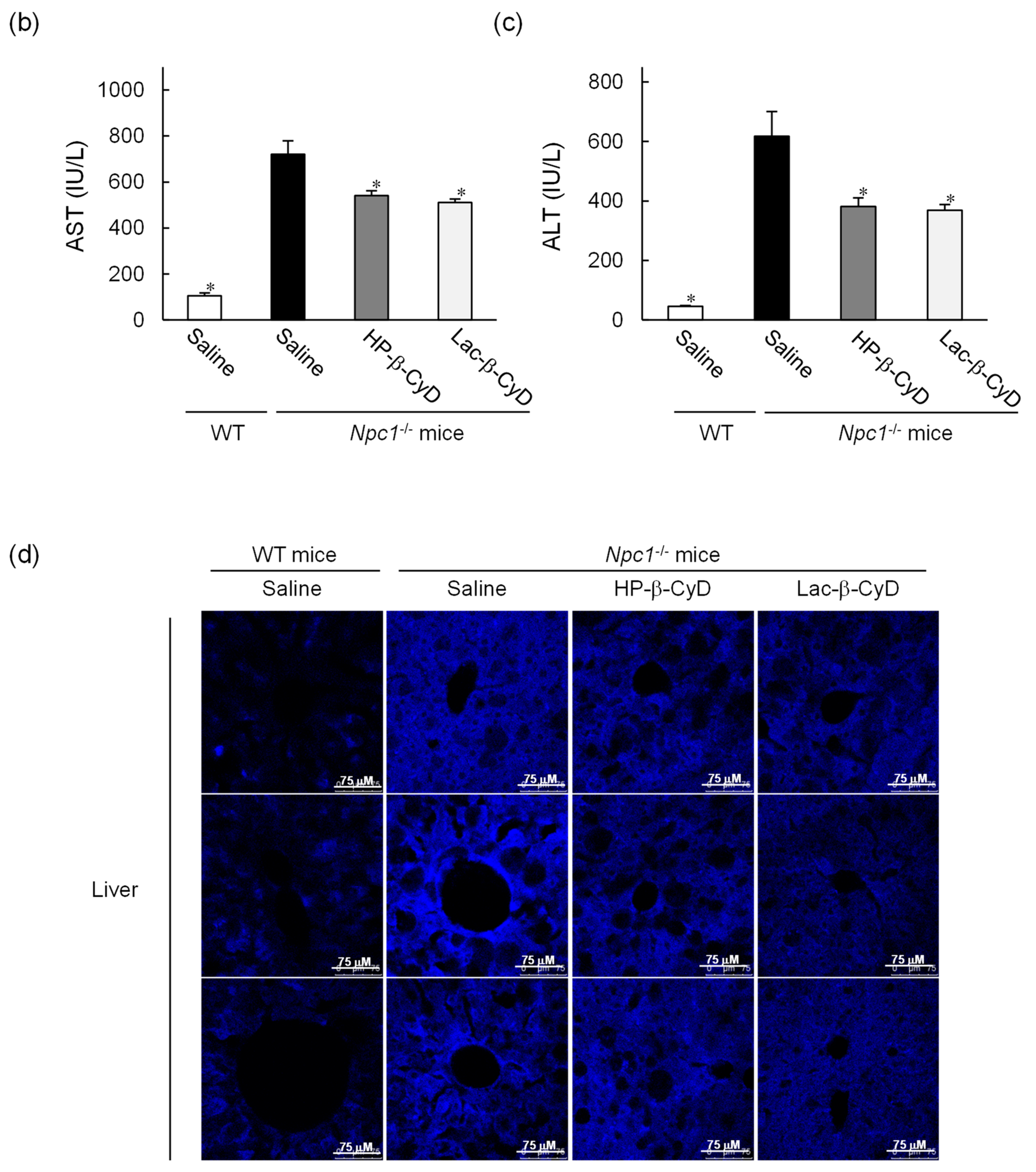 Nanomaterials 09 00802 g002b