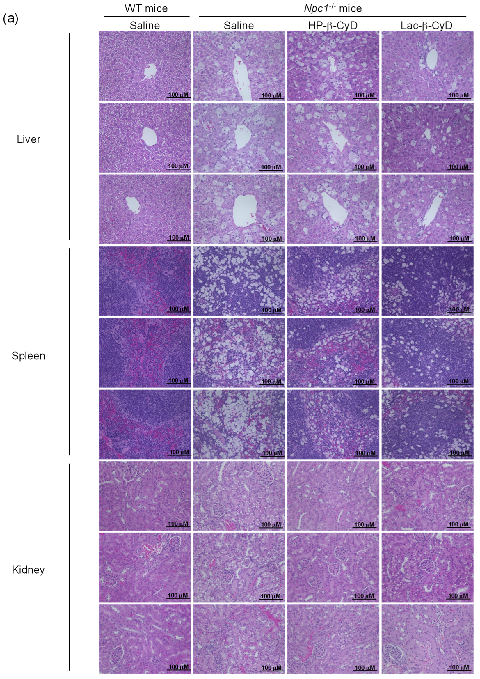 Nanomaterials 09 00802 g003a