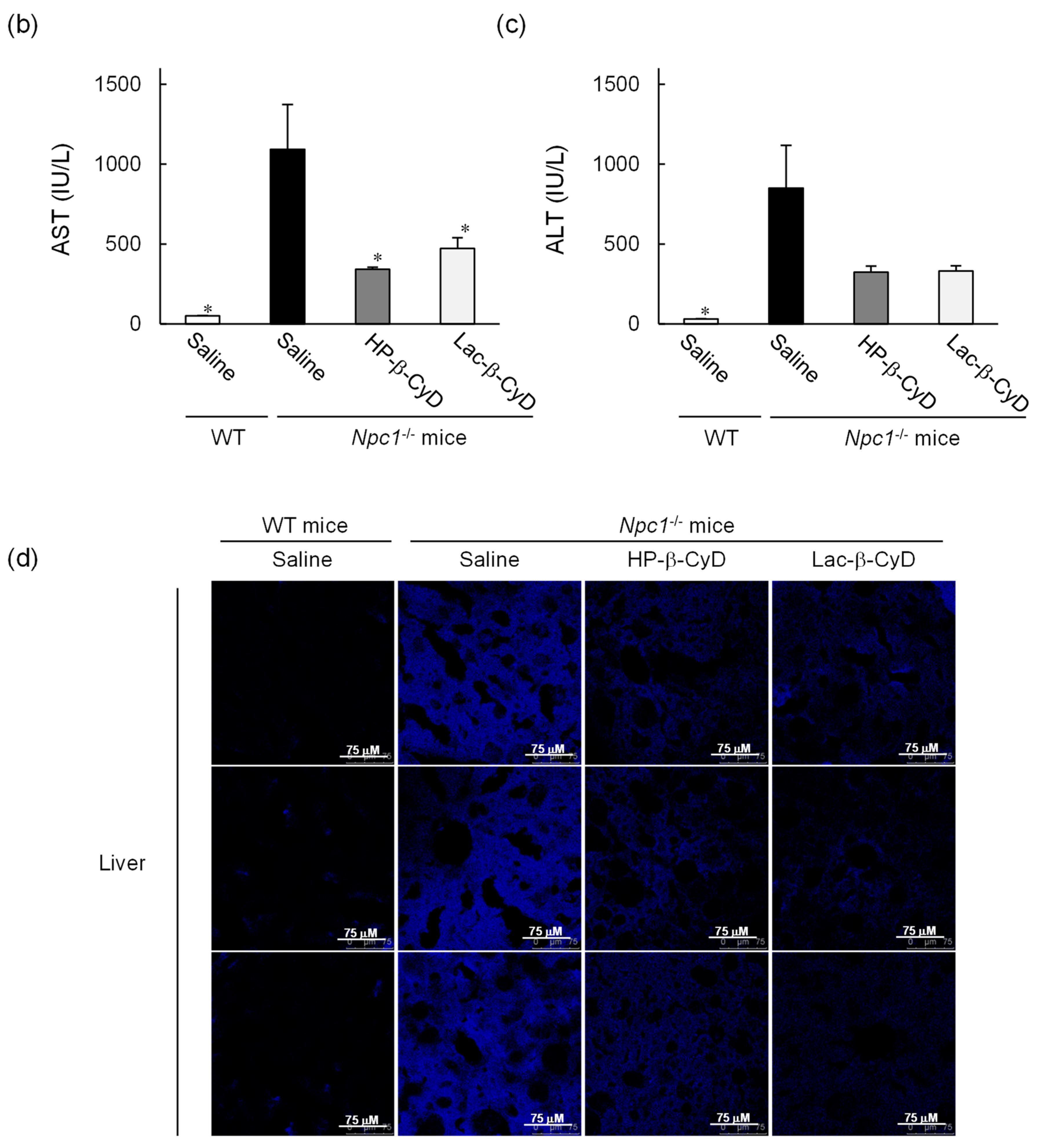 Nanomaterials 09 00802 g003b