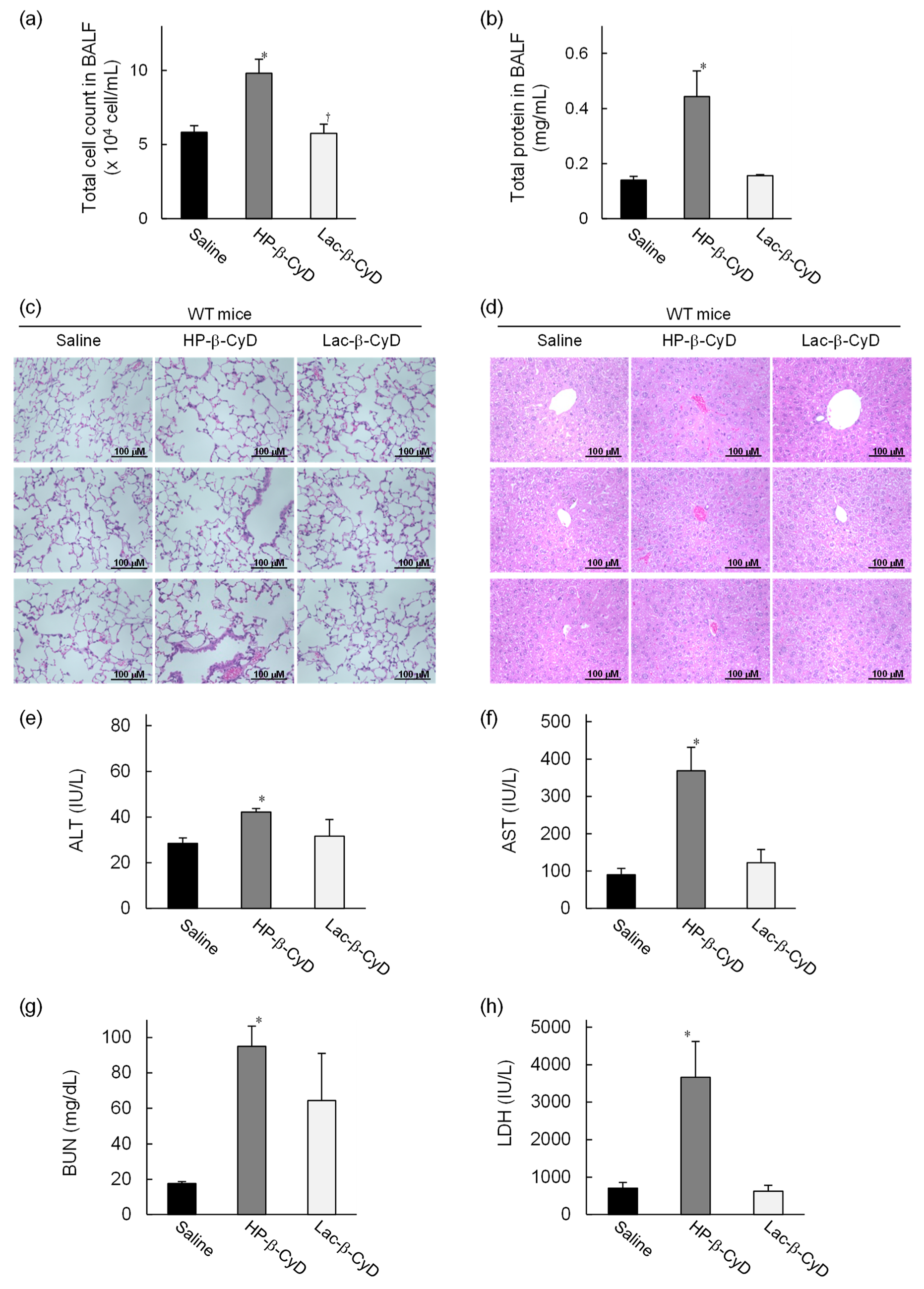 Nanomaterials 09 00802 g004