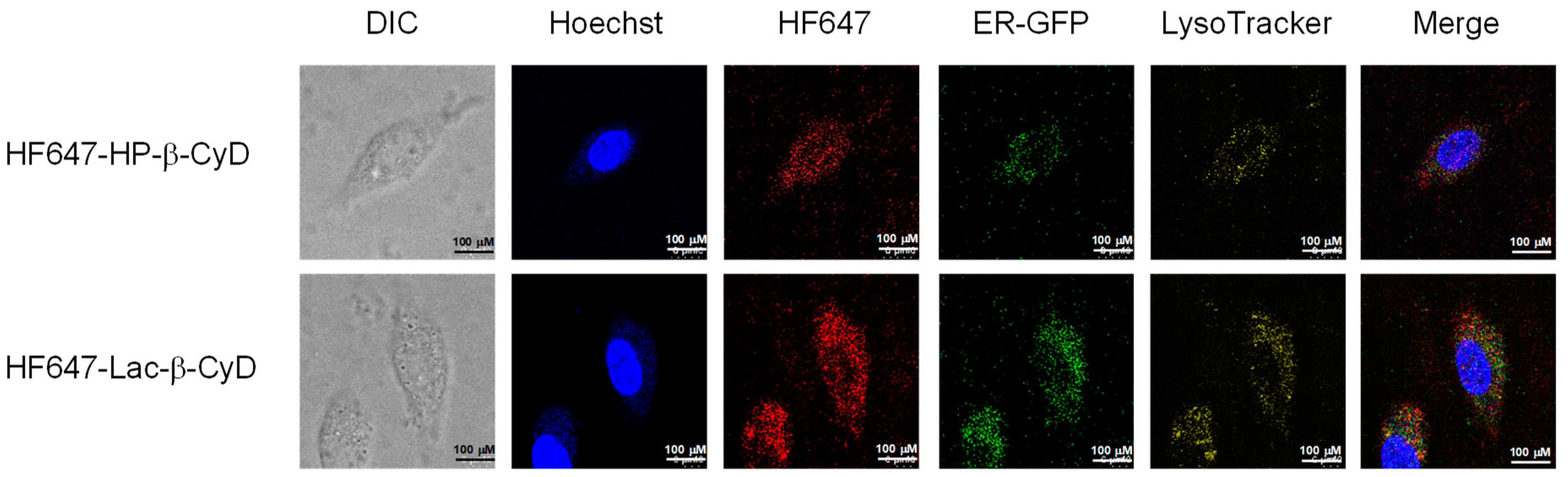 Nanomaterials 09 00802 g005
