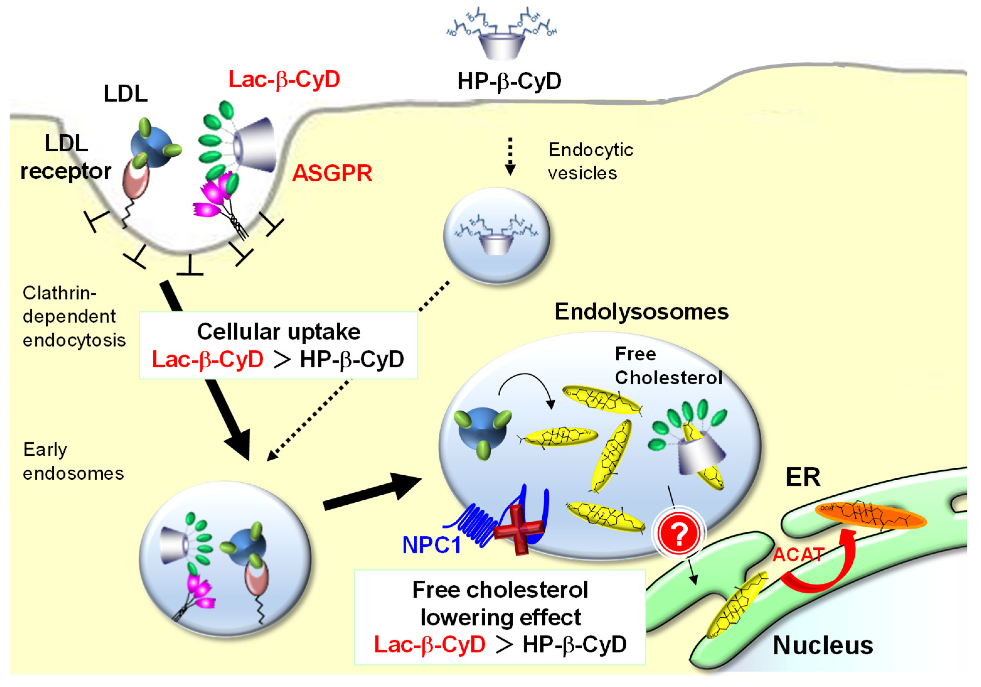 Nanomaterials 09 00802 g008