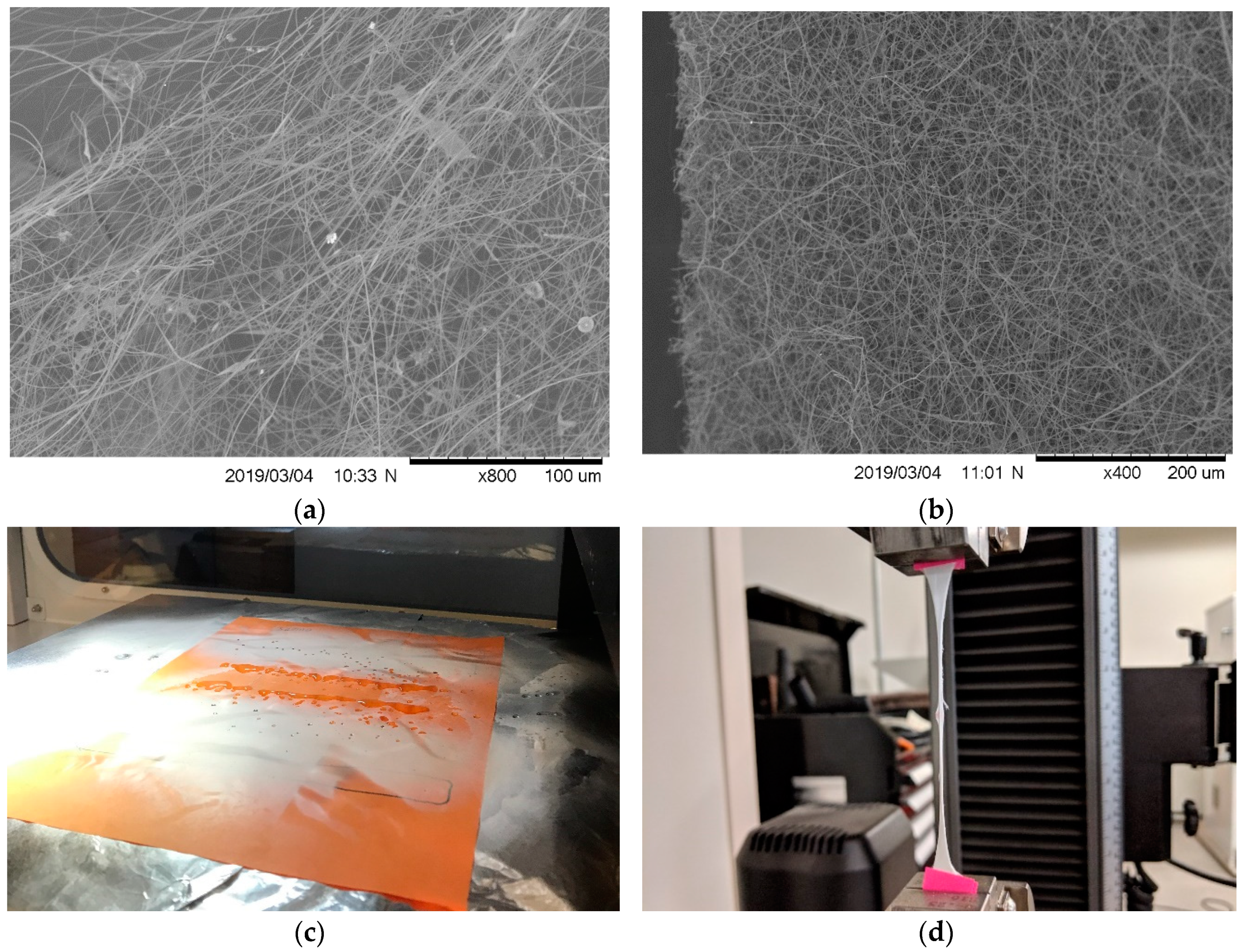 Nanomaterials 09 00805 g001