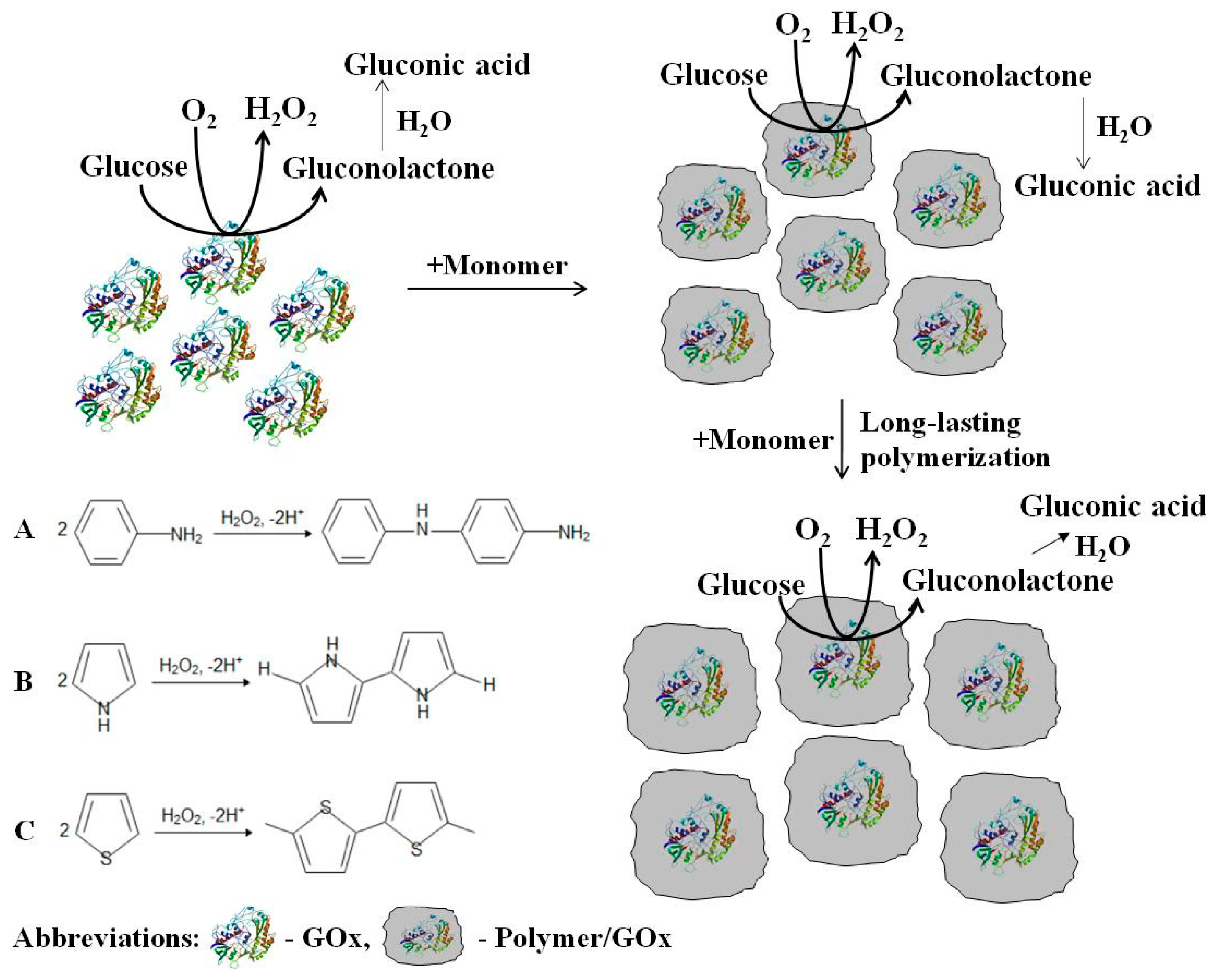 Nanomaterials 09 00806 g001