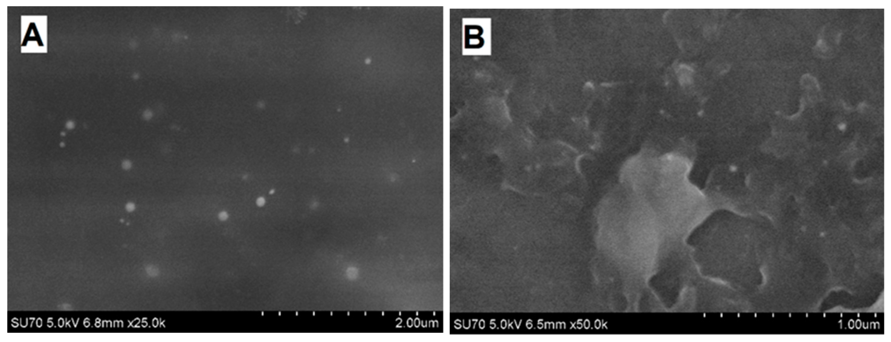 Nanomaterials 09 00806 g007