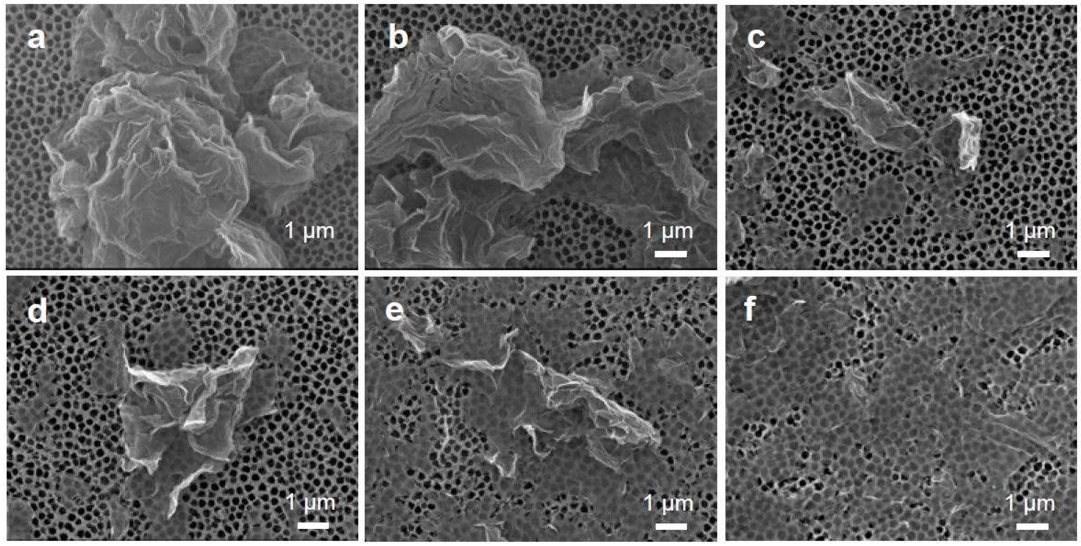 Nanomaterials 09 00815 g002
