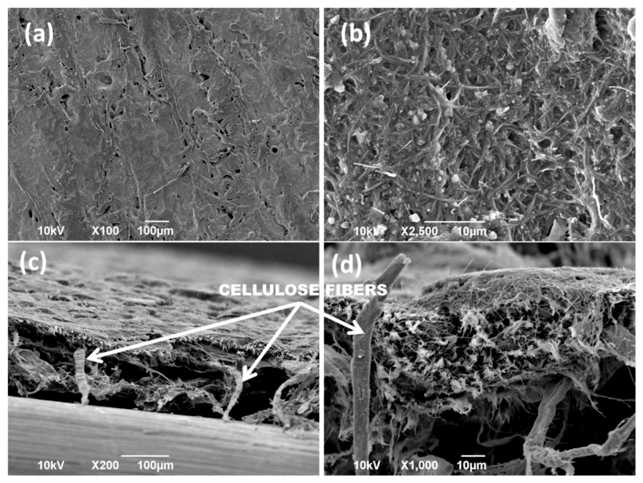 Nanomaterials 09 00824 g005 Nanomaterials 09 00824 g005