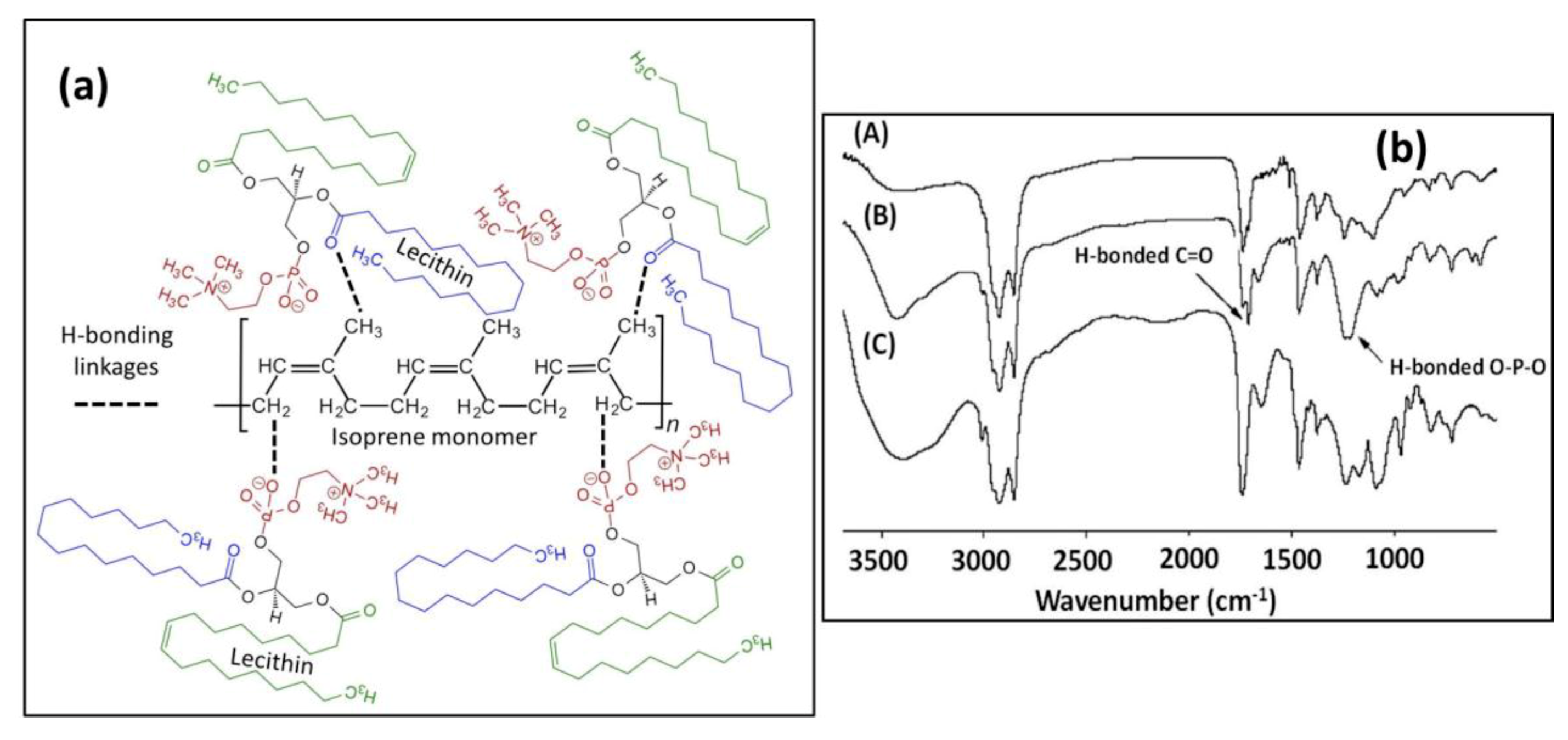 Nanomaterials 09 00824 g007 Nanomaterials 09 00824 g007