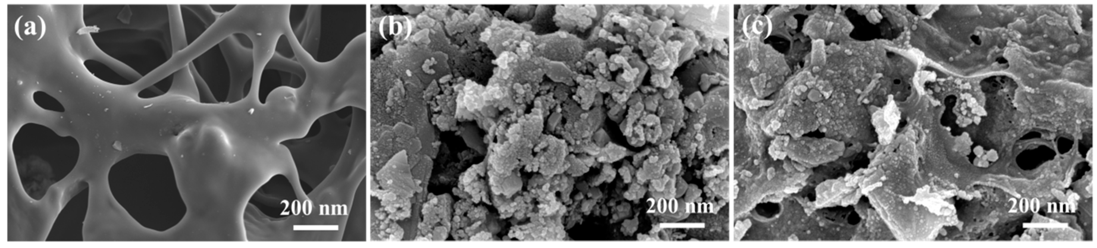 Nanomaterials 09 00839 g003