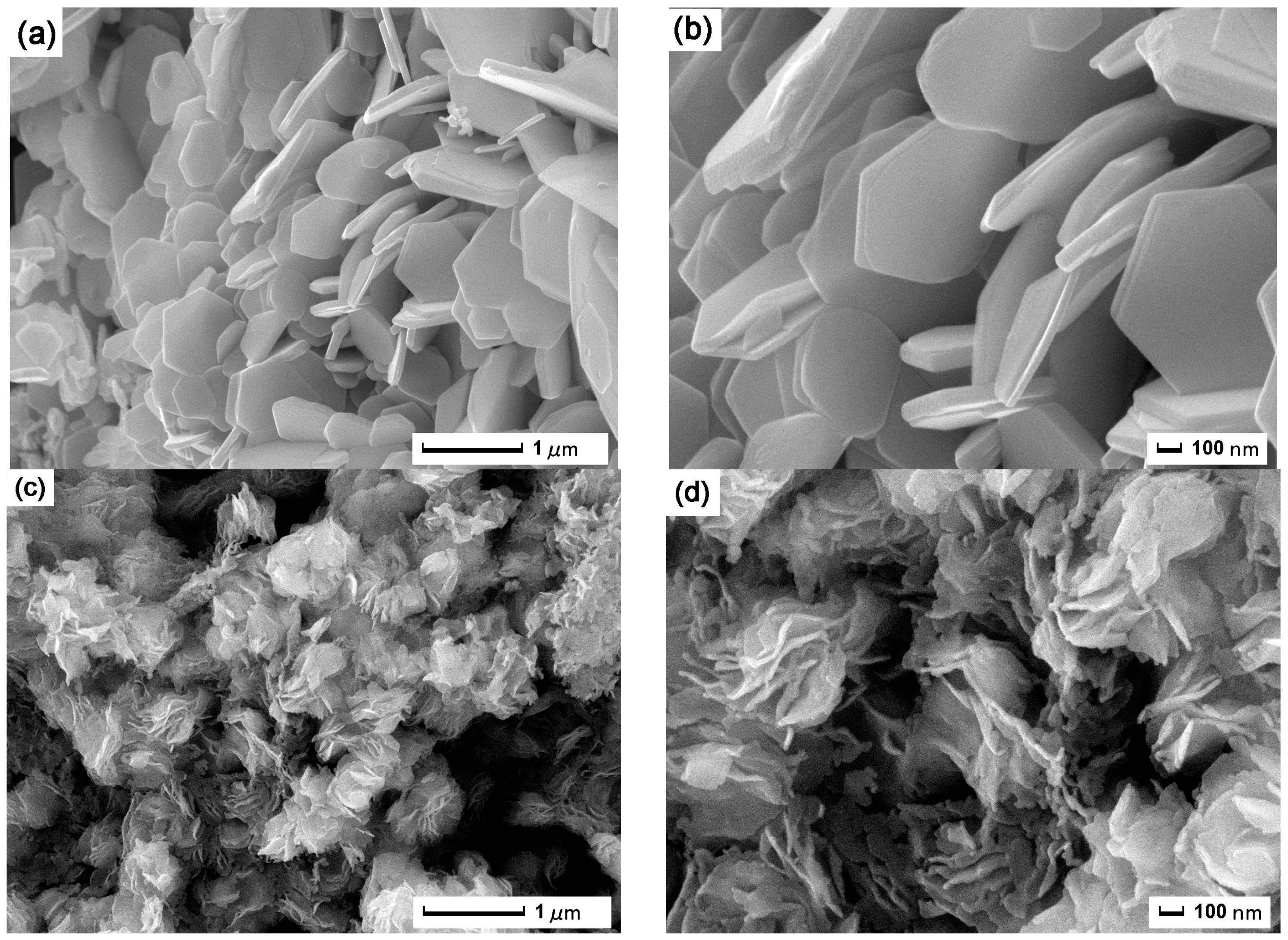 Nanomaterials 09 00840 g002a
