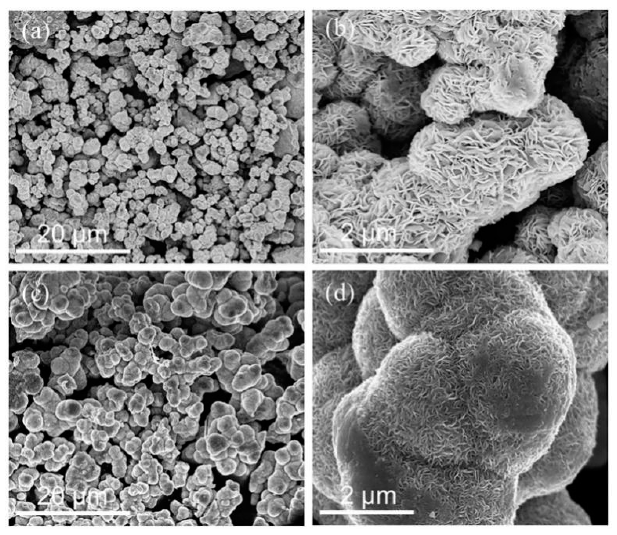 Nanomaterials 09 00844 g001