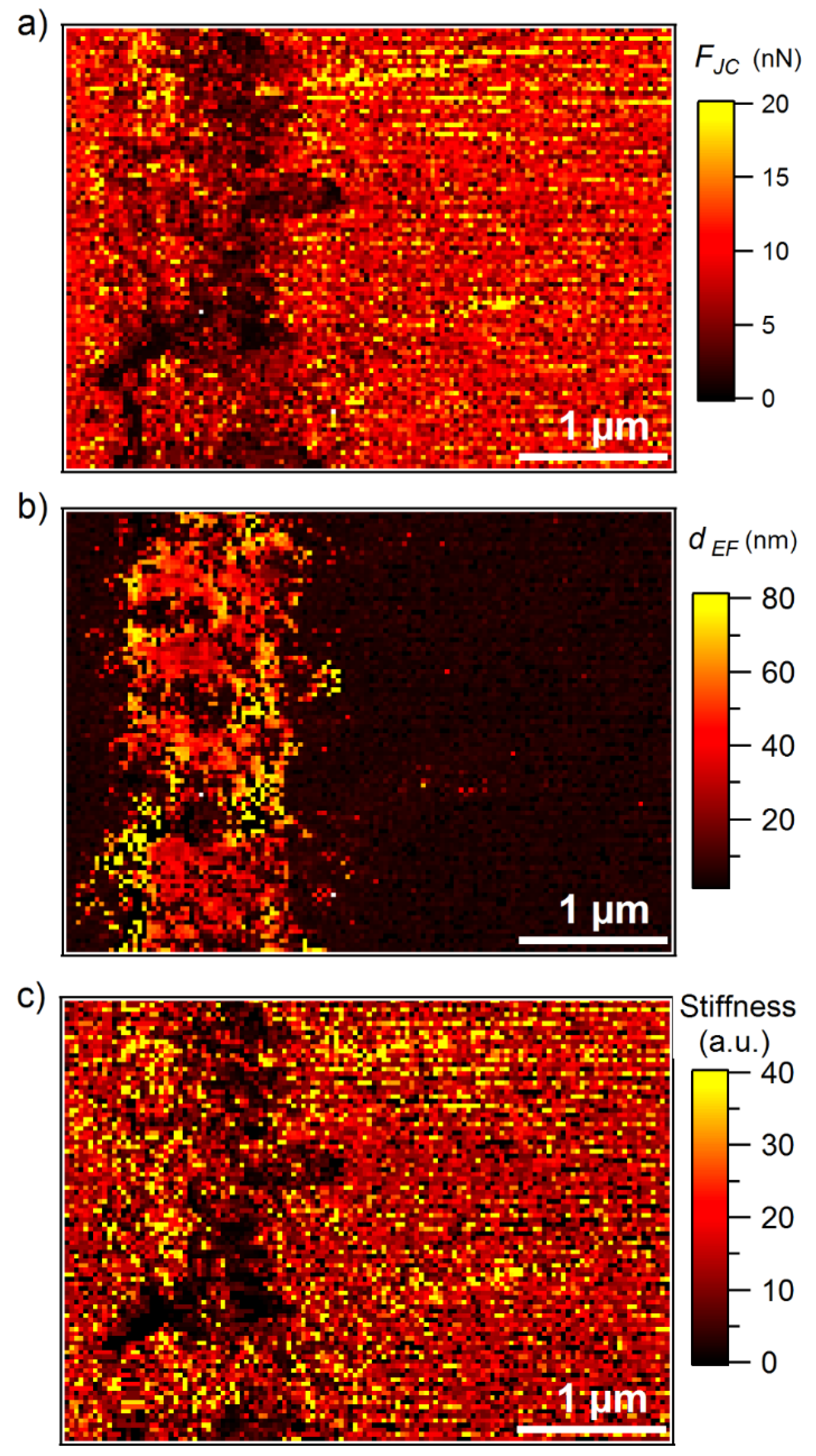 Nanomaterials 09 00853 g004
