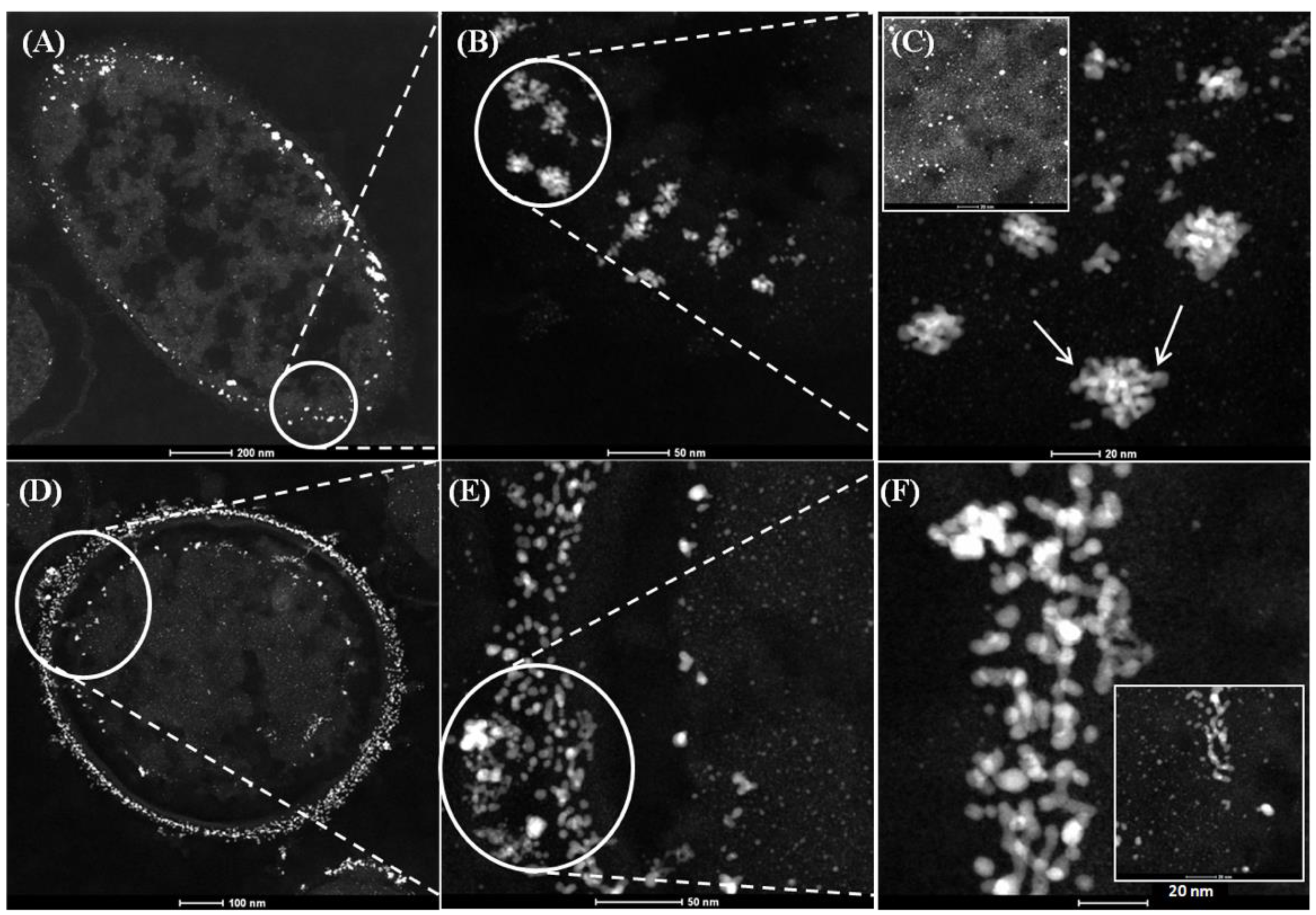 Nanomaterials 09 00857 g002 Nanomaterials 09 00857 g002