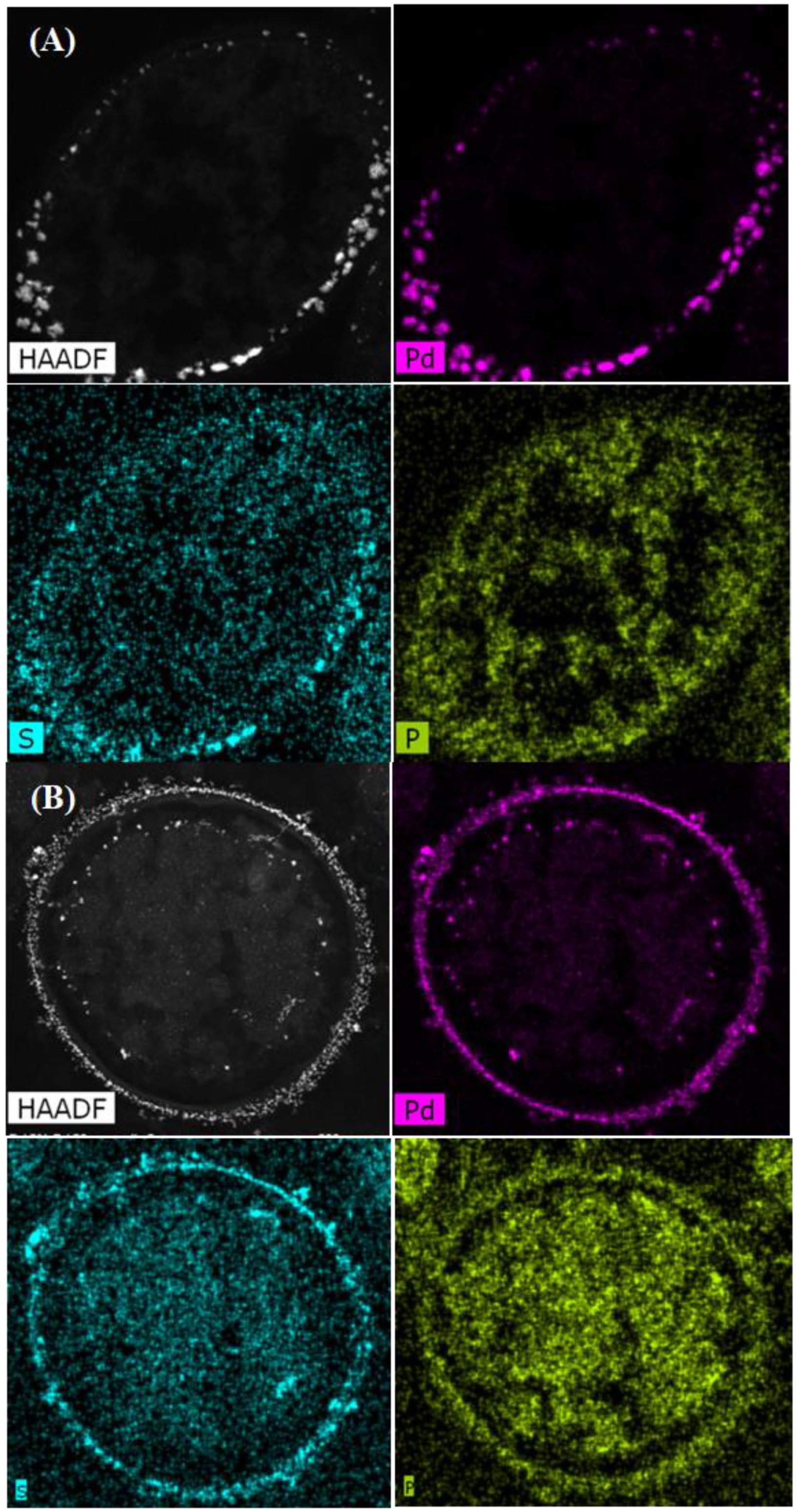 Nanomaterials 09 00857 g004 Nanomaterials 09 00857 g004