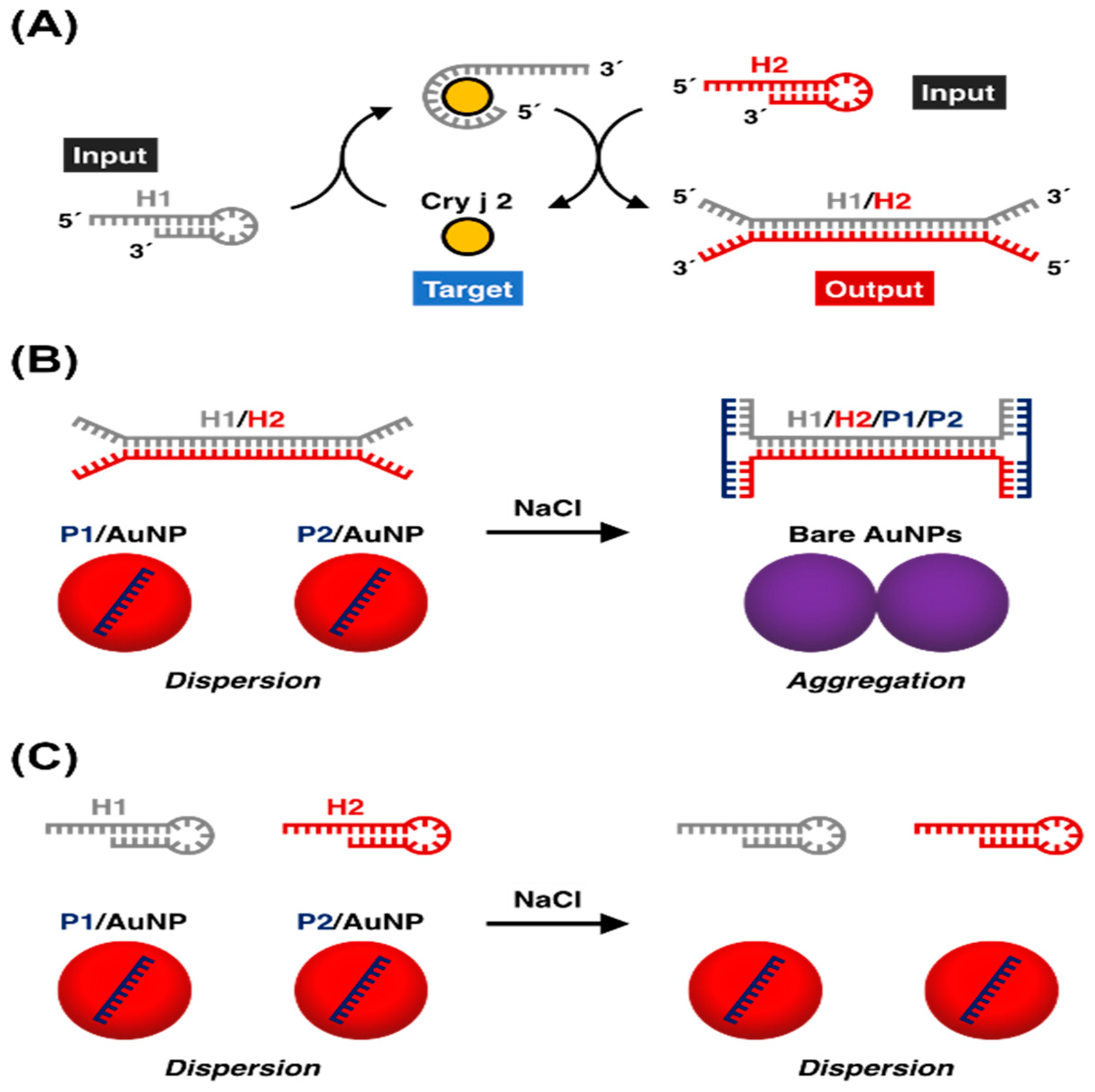 Nanomaterials 09 00861 g005 Nanomaterials 09 00861 g005