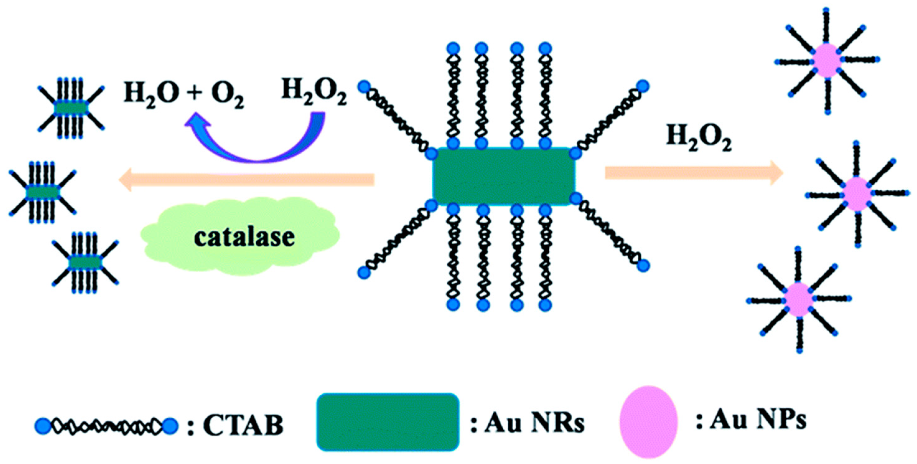 Nanomaterials 09 00861 g009 Nanomaterials 09 00861 g009