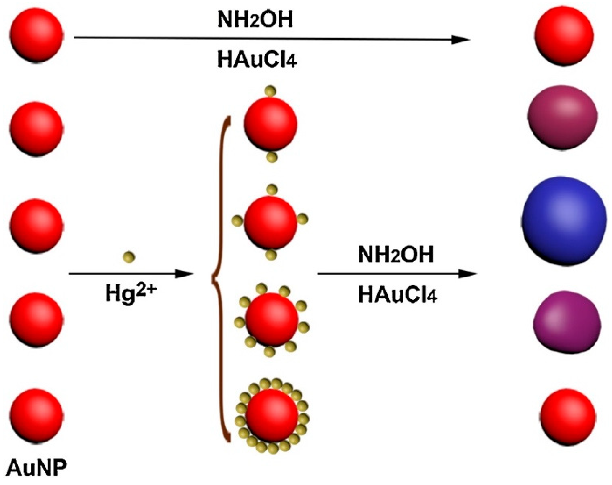 Nanomaterials 09 00861 g011 Nanomaterials 09 00861 g011