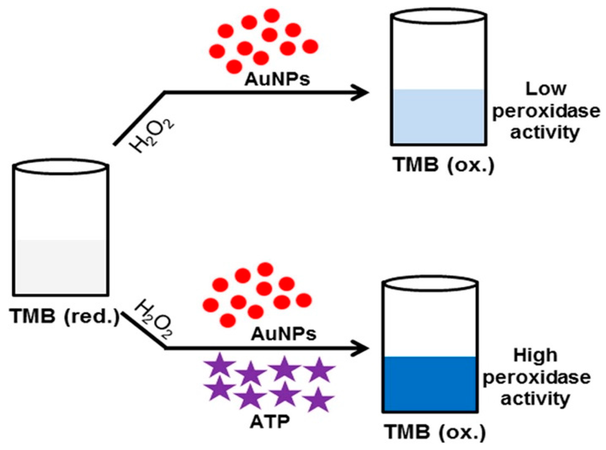 Nanomaterials 09 00861 g013 Nanomaterials 09 00861 g013