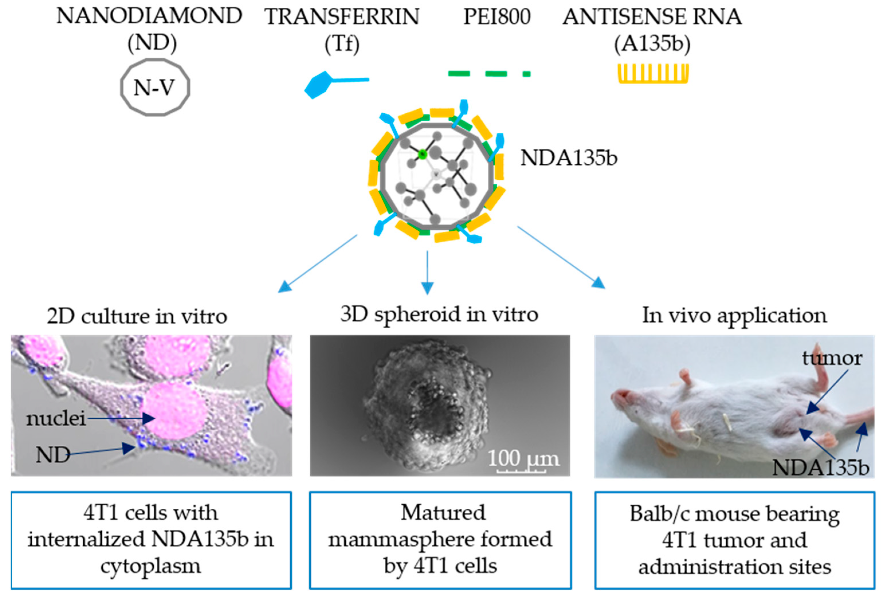 Nanomaterials 09 00866 g001 Nanomaterials 09 00866 g001