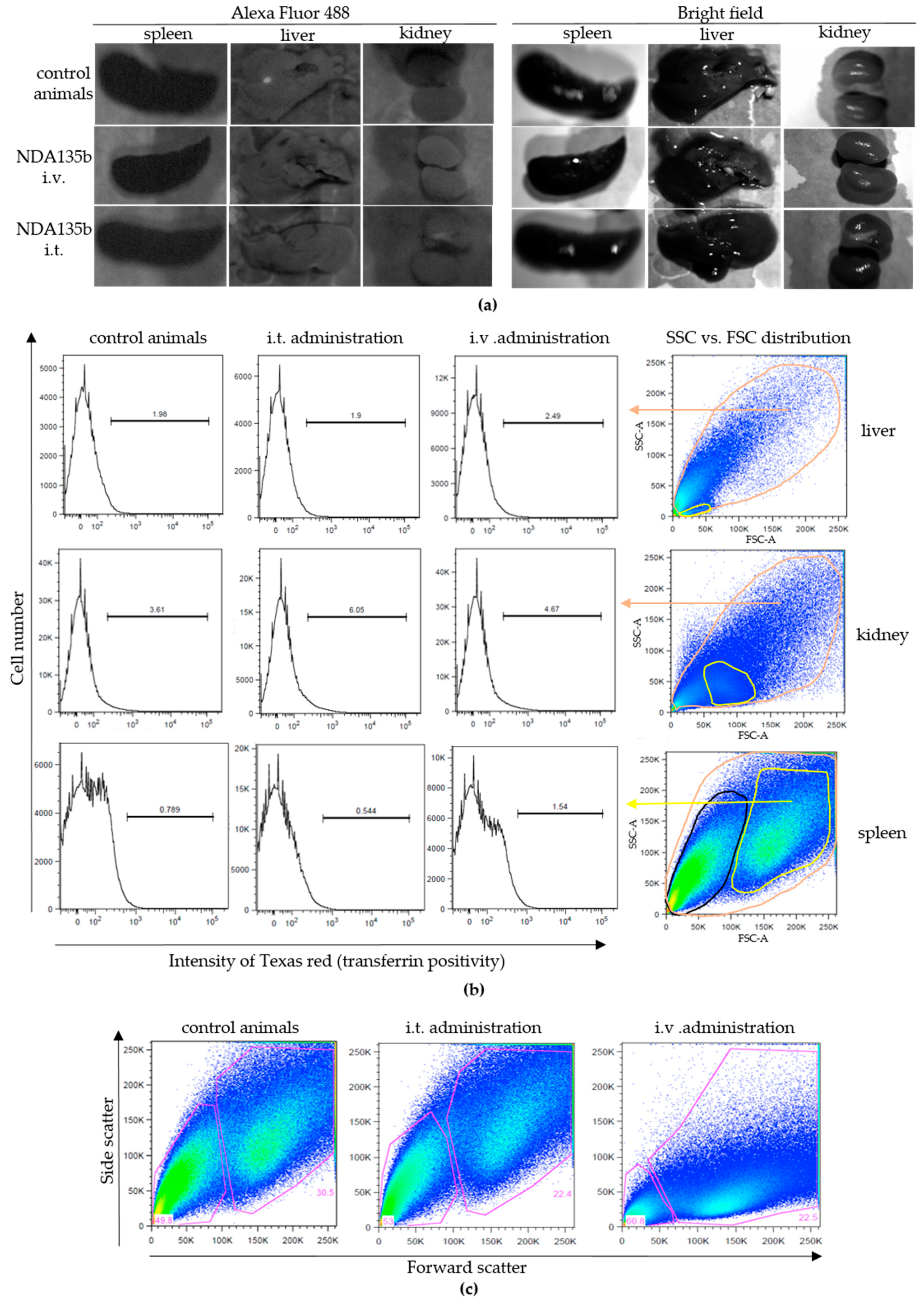 Nanomaterials 09 00866 g006 Nanomaterials 09 00866 g006