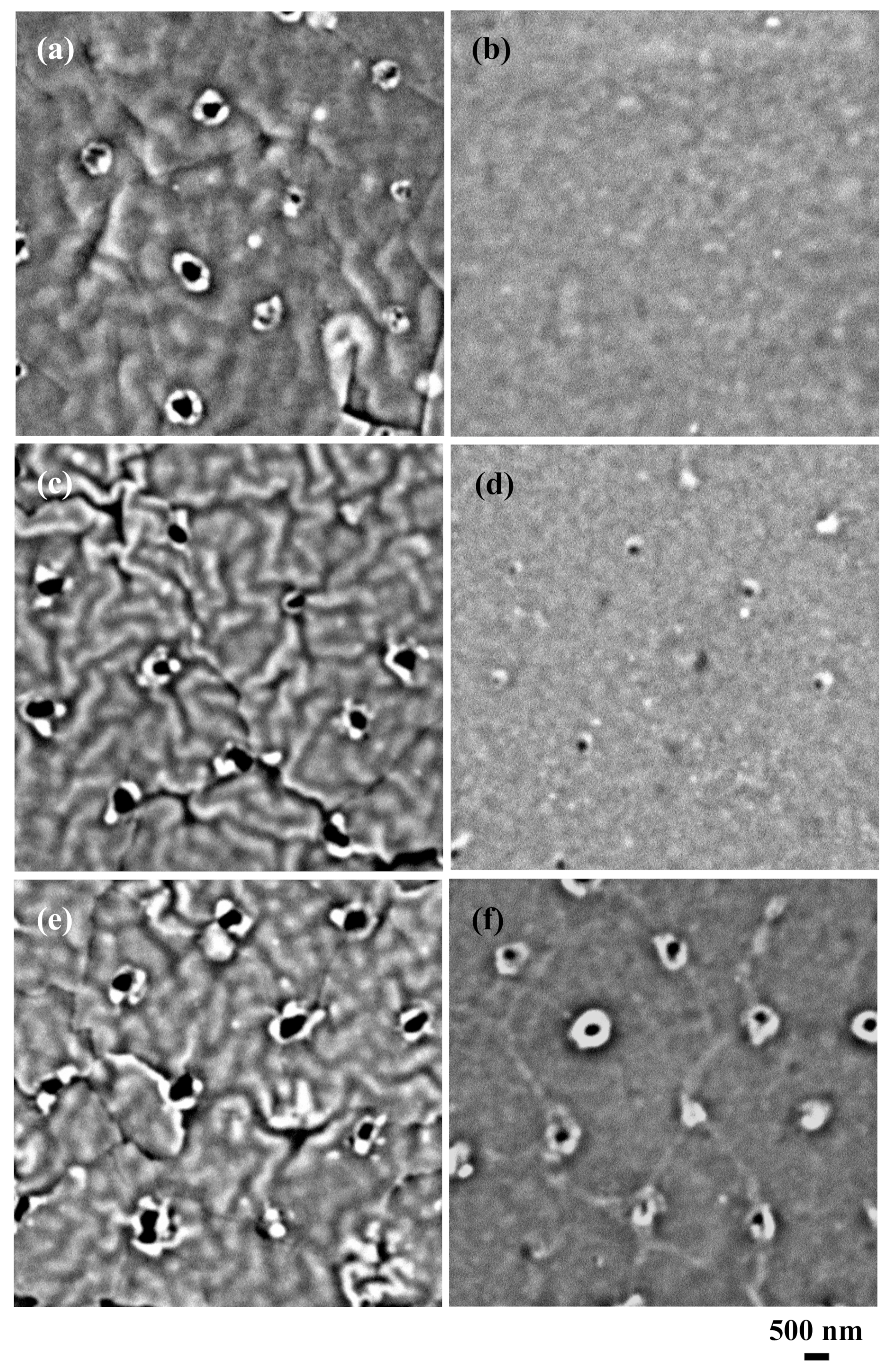 Nanomaterials 09 00870 g003 Nanomaterials 09 00870 g003
