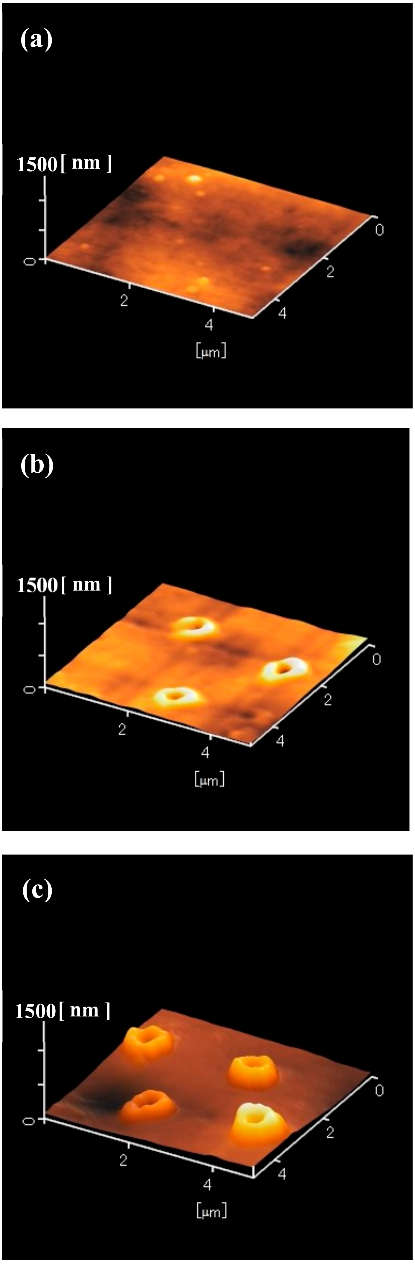 Nanomaterials 09 00870 g004 Nanomaterials 09 00870 g004