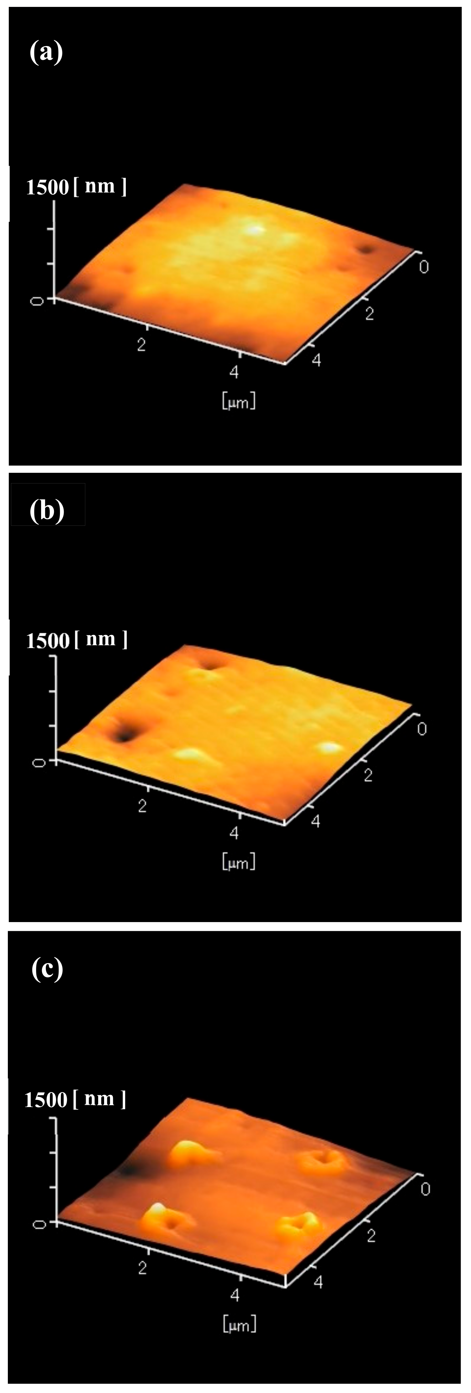 Nanomaterials 09 00870 g006 Nanomaterials 09 00870 g006