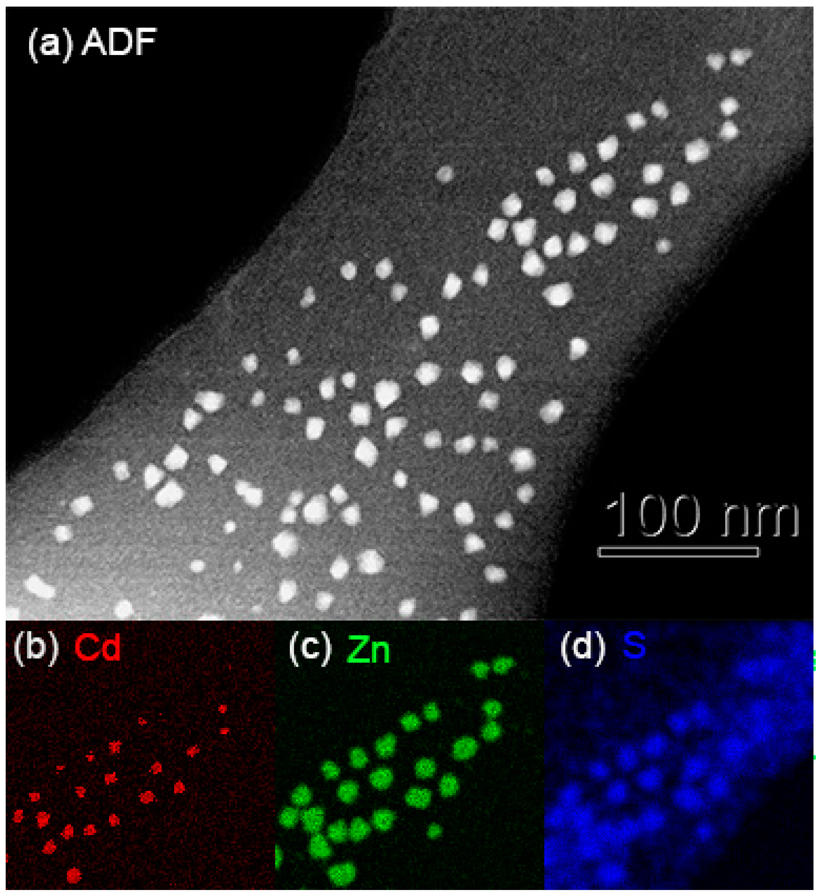 Nanomaterials 09 00872 g002