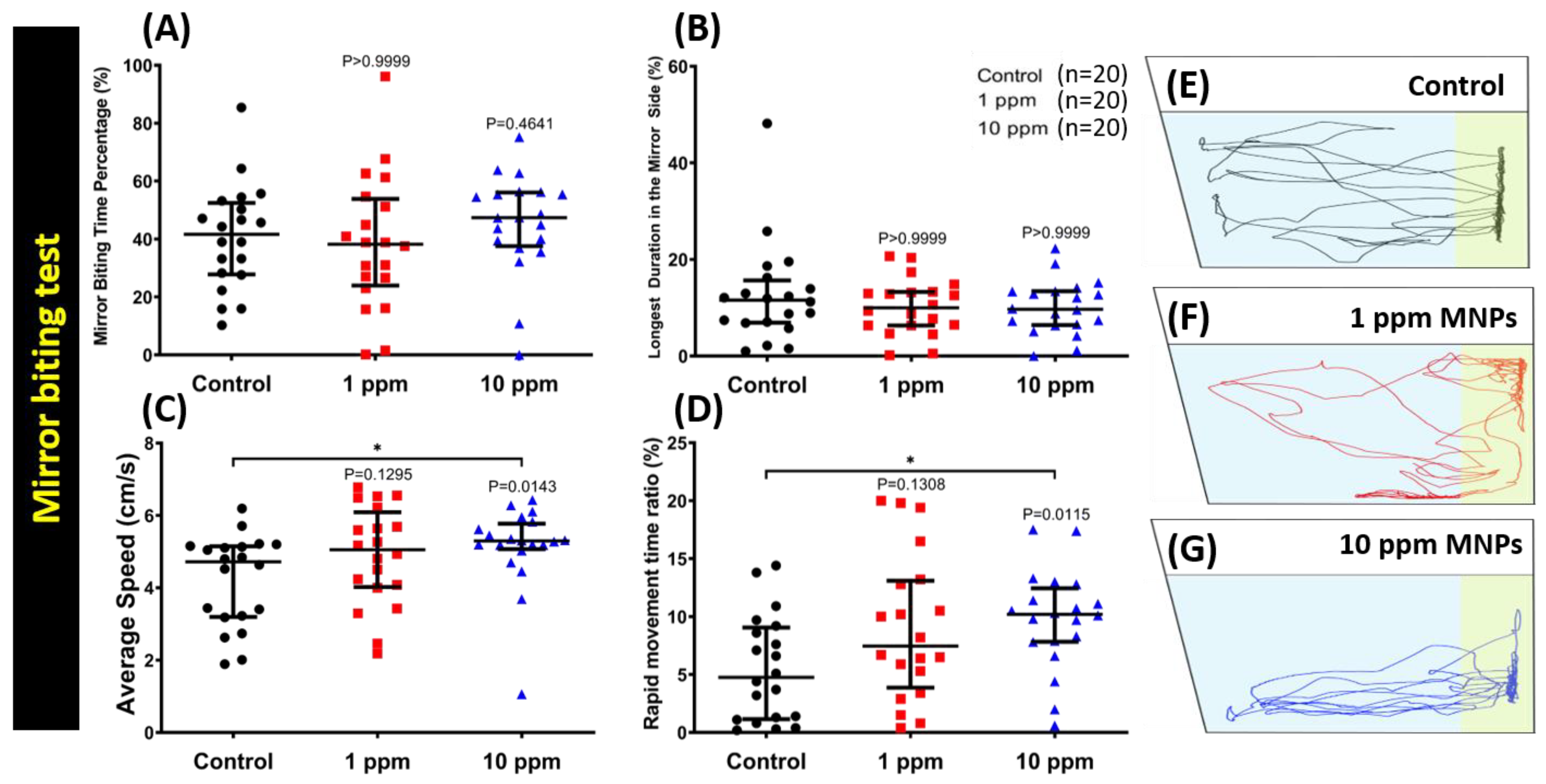 Nanomaterials Free Full Text Ecotoxicity Assessment Of Fe3o4 Magnetic Nanoparticle Exposure In Adult Zebrafish At An Environmental Pertinent Concentration By Behavioral And Biochemical Testing Html Nanomaterials Free Full Text Ecotoxicity Assessment Of Fe3o4 Magnetic Nanoparticle Exposure In Adult Zebrafish At An Environmental Pertinent Concentration By Behavioral And Biochemical Testing Html