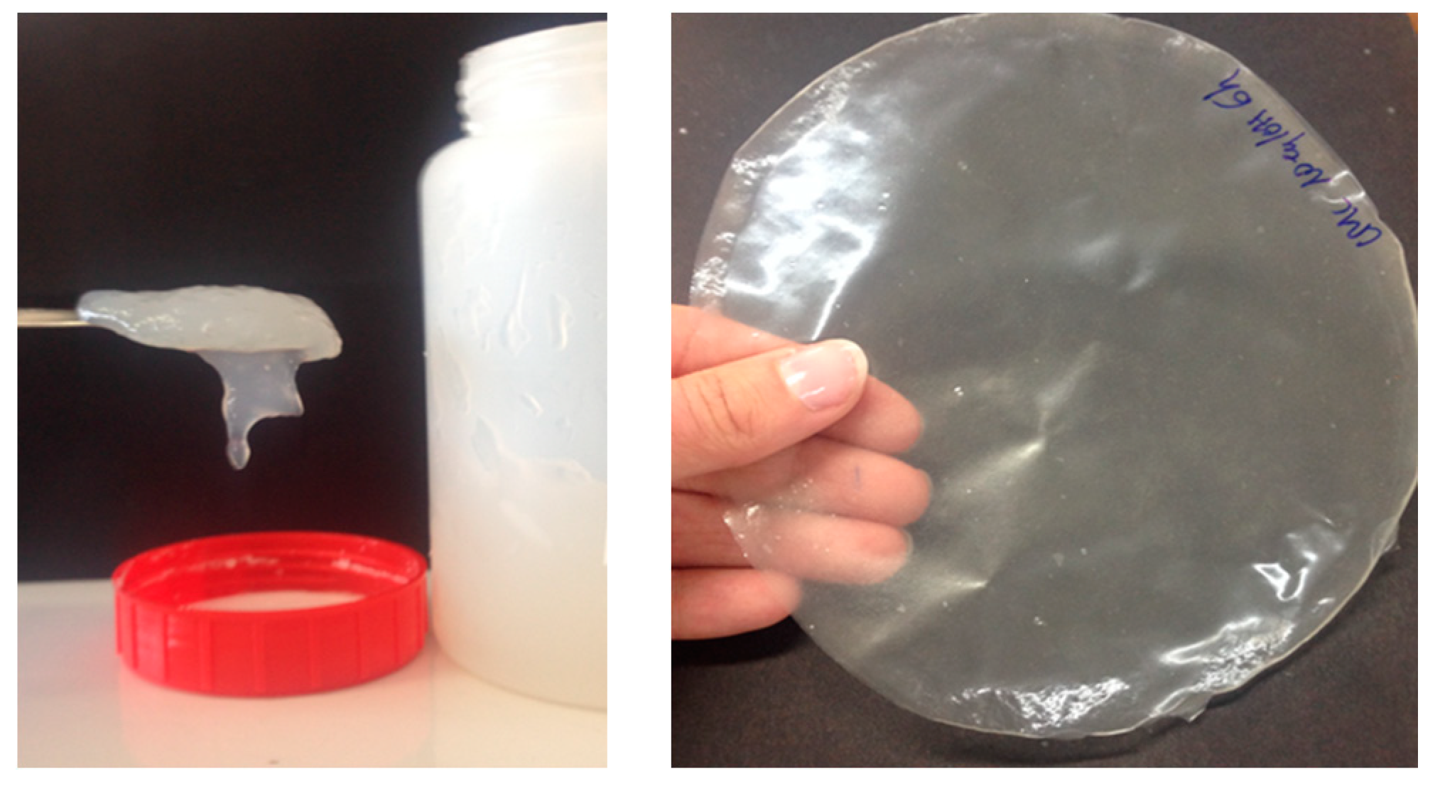 Nanomaterials 09 00877 g003