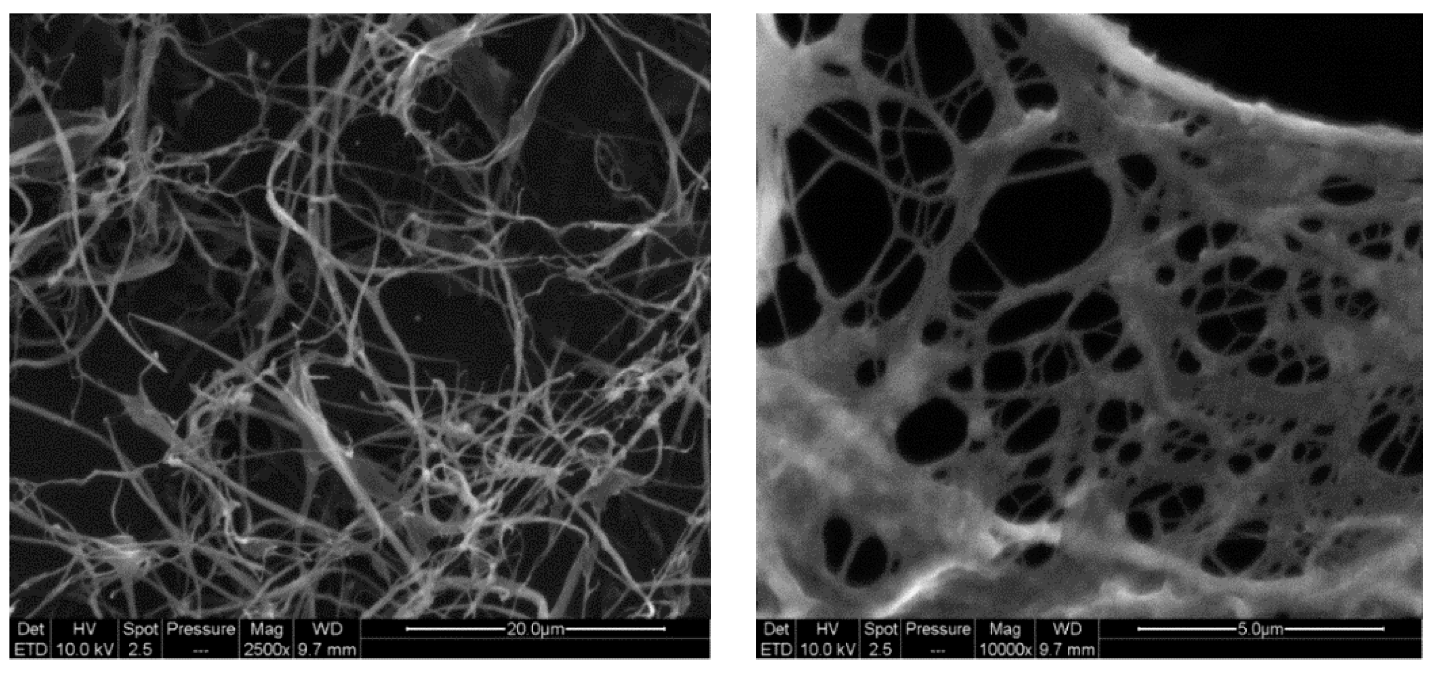 Nanomaterials 09 00877 g004